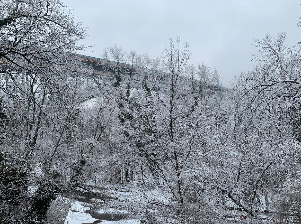 #20 photo, 2465 Palisade Avenue, ブロンクス区 Bronx , NY 10463