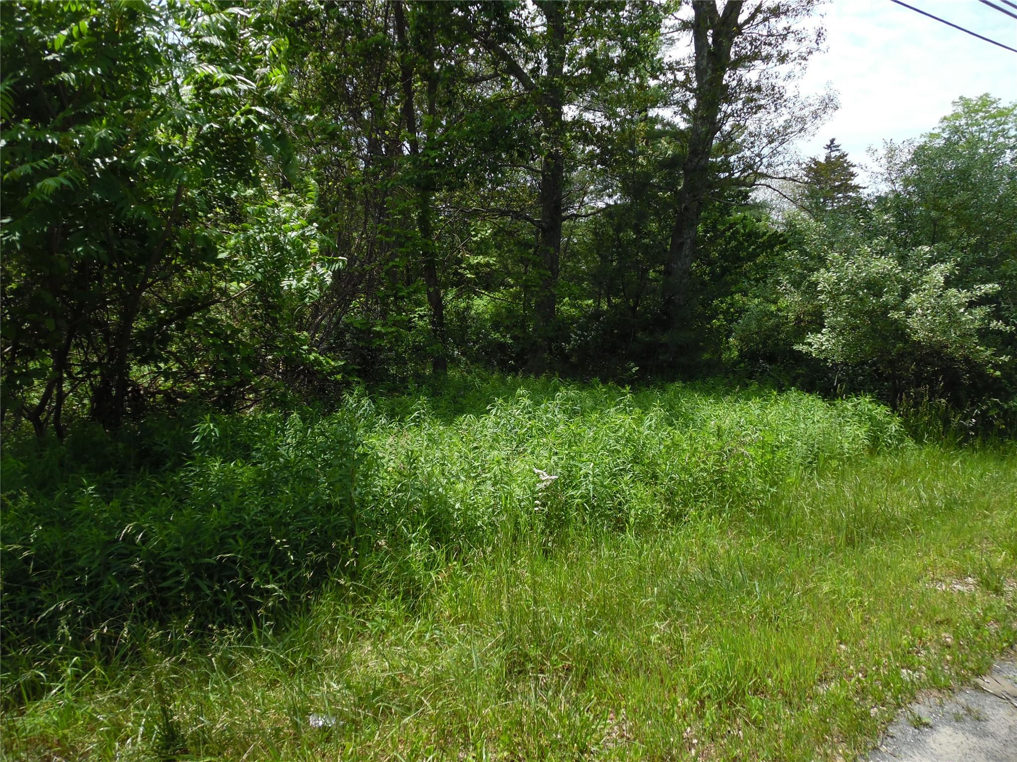 #4 photo, TBD Wurtsboro Mountain Rd, Wurtsboro , NY 12790