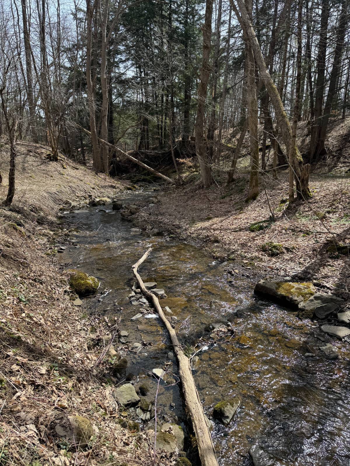 #48 photo, 950 County Highway 22, Burlington Flats , NY 13439