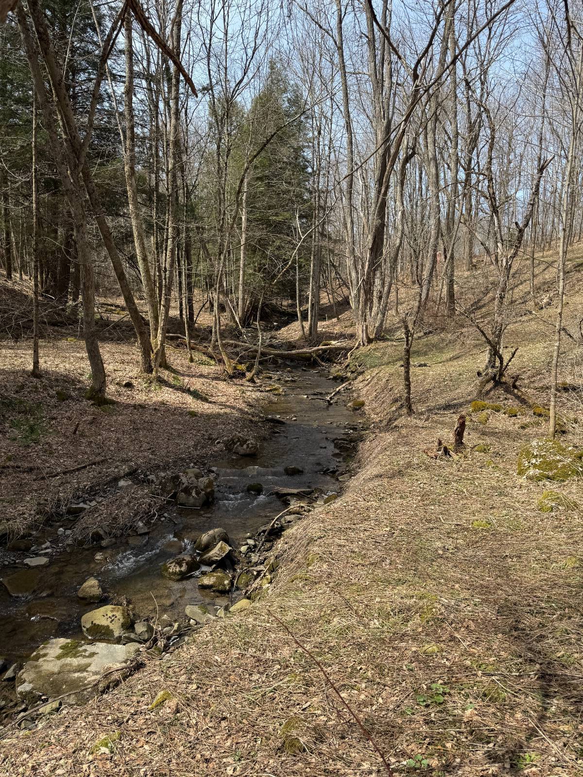 #49 photo, 950 County Highway 22, Burlington Flats , NY 13439