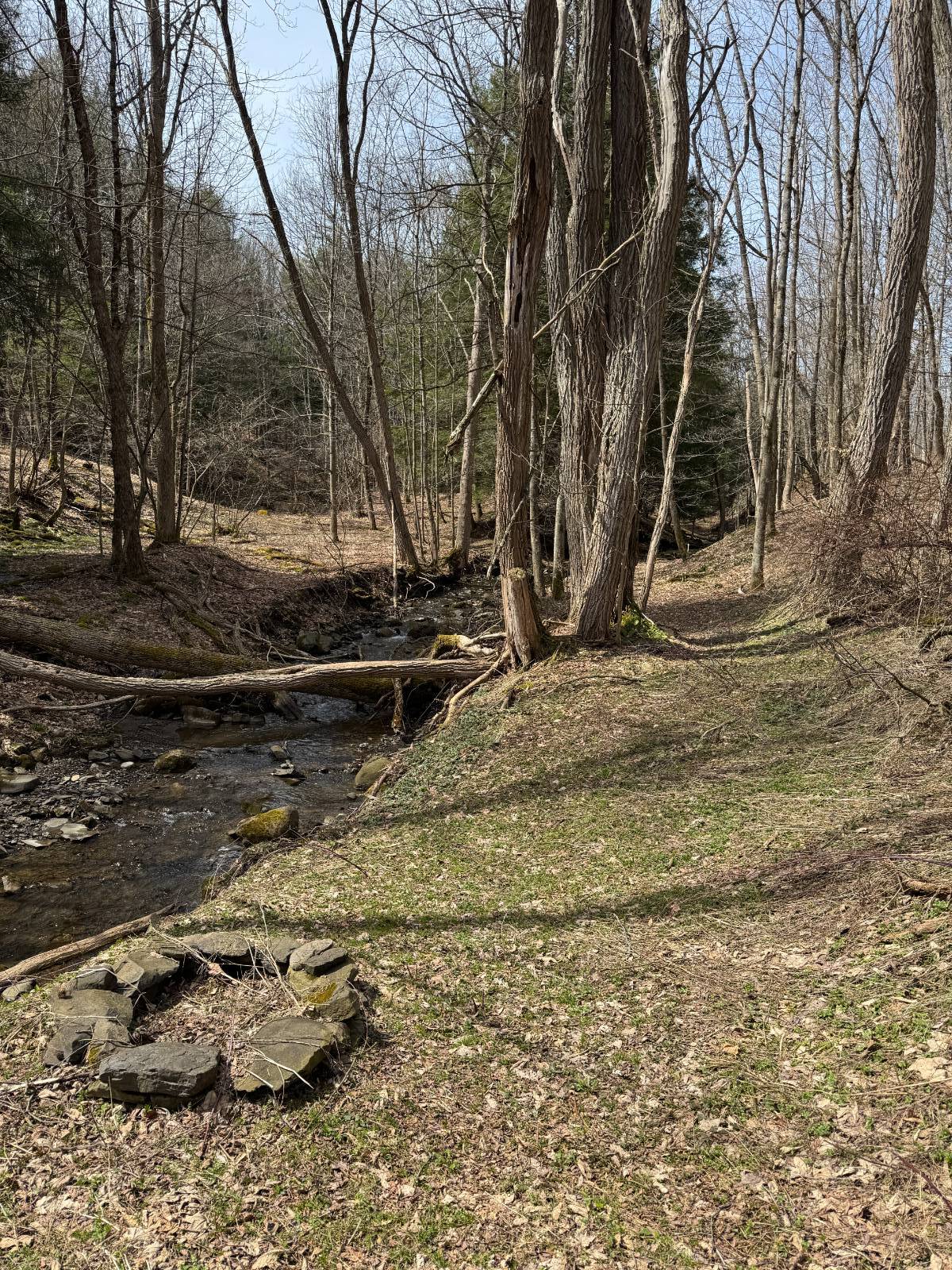 #50 photo, 950 County Highway 22, Burlington Flats , NY 13439