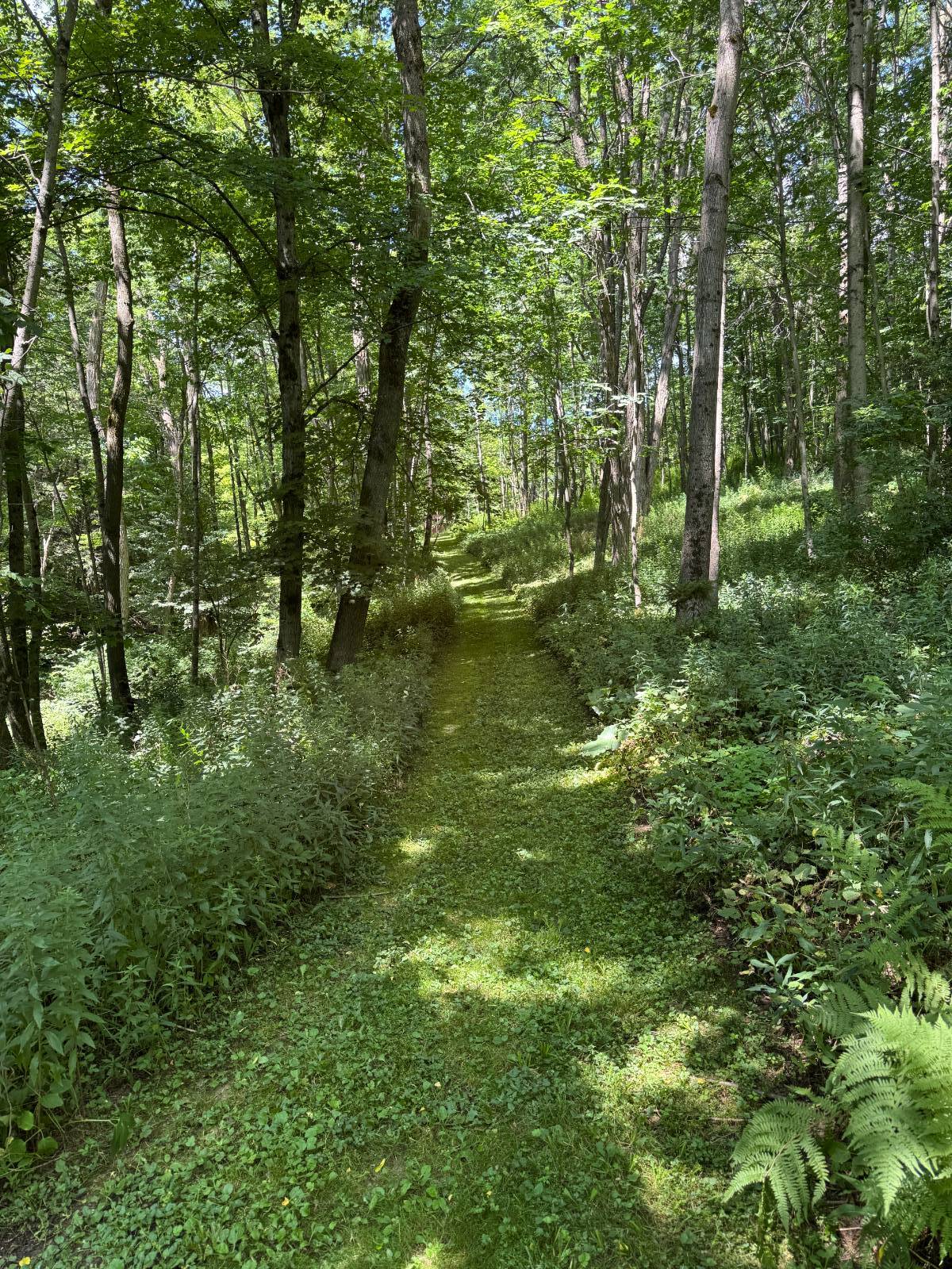 #51 photo, 950 County Highway 22, Burlington Flats , NY 13439