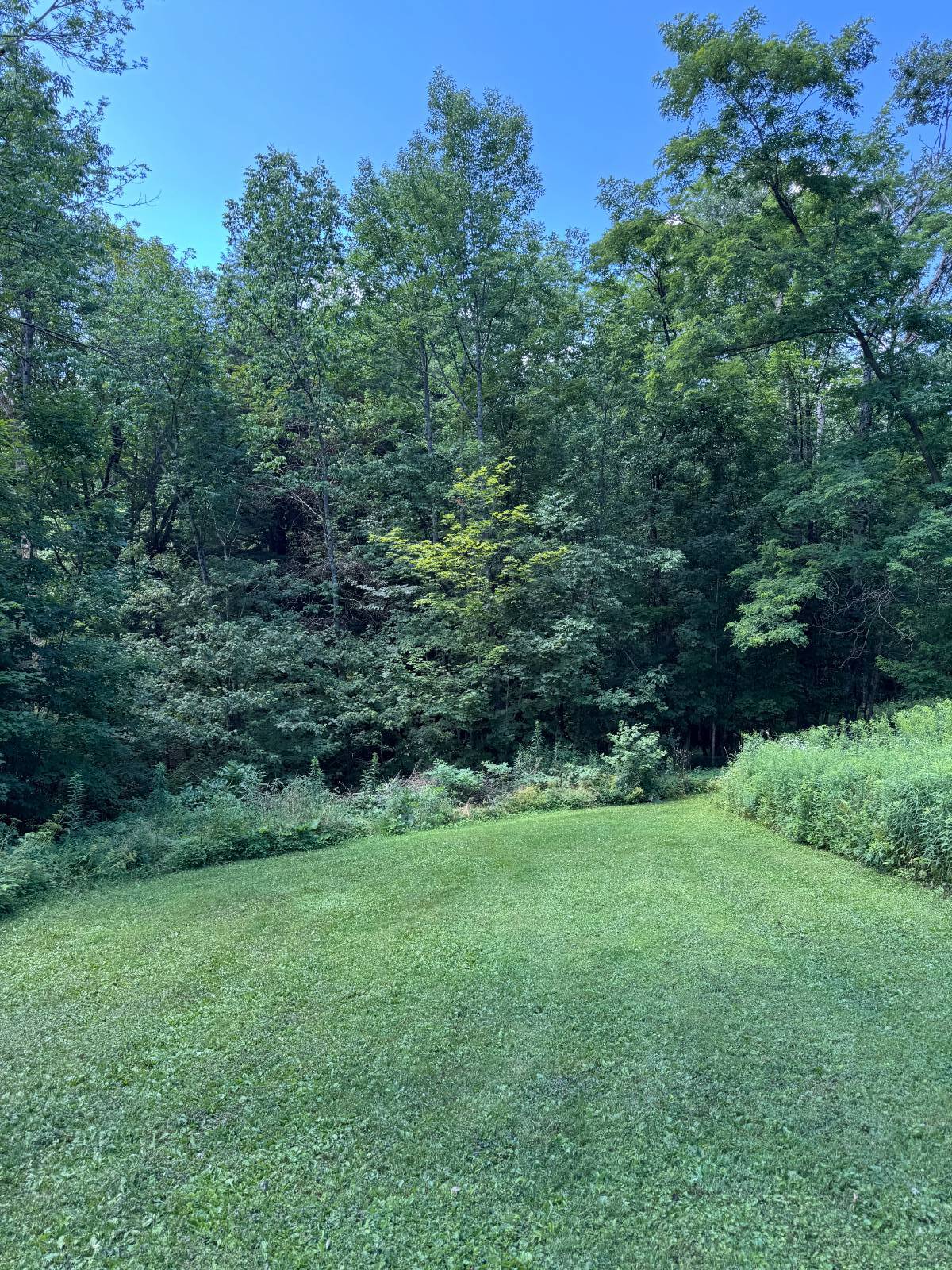 #52 photo, 950 County Highway 22, Burlington Flats , NY 13439