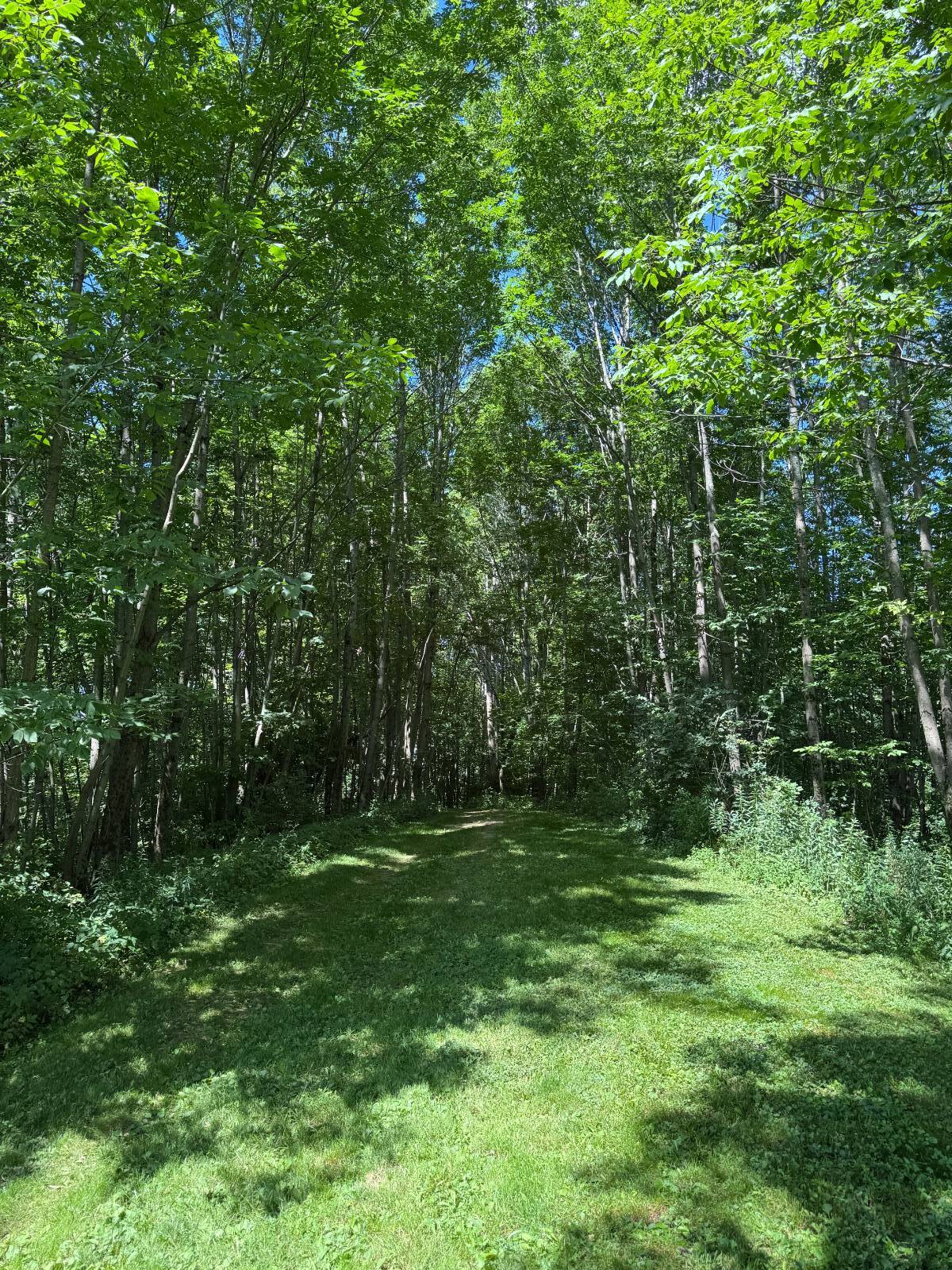 #53 photo, 950 County Highway 22, Burlington Flats , NY 13439