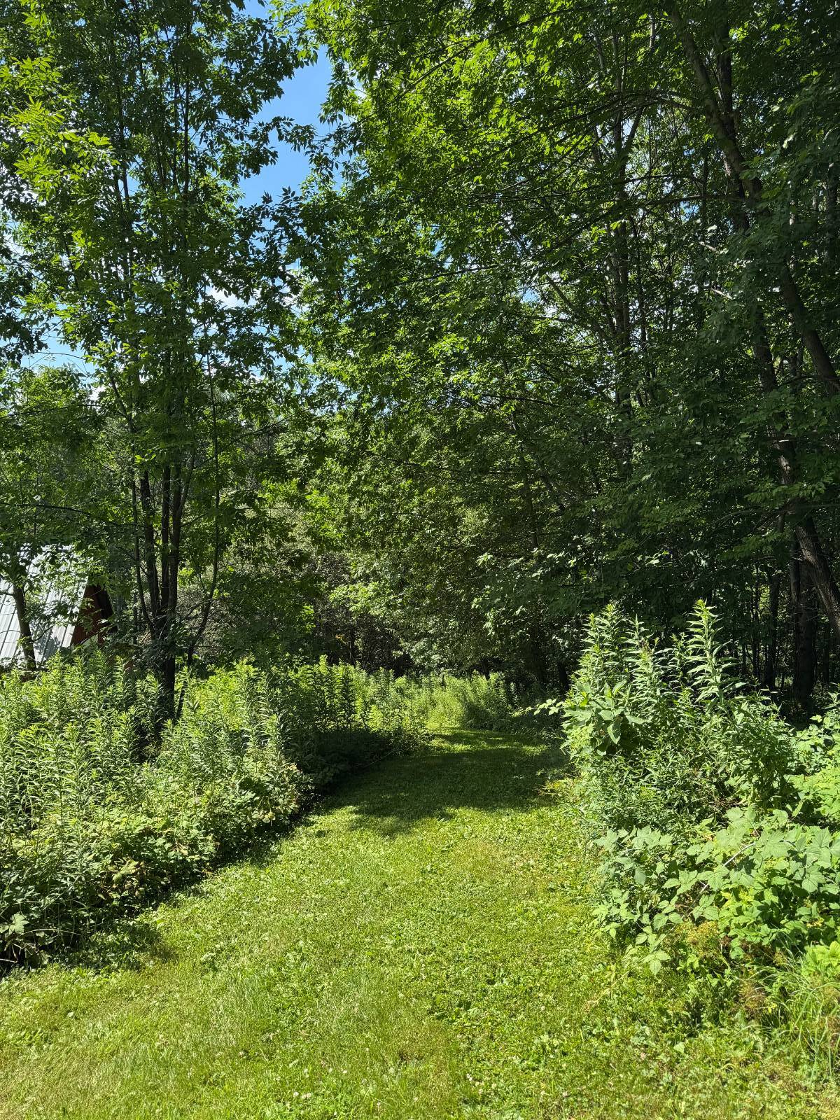 #54 photo, 950 County Highway 22, Burlington Flats , NY 13439