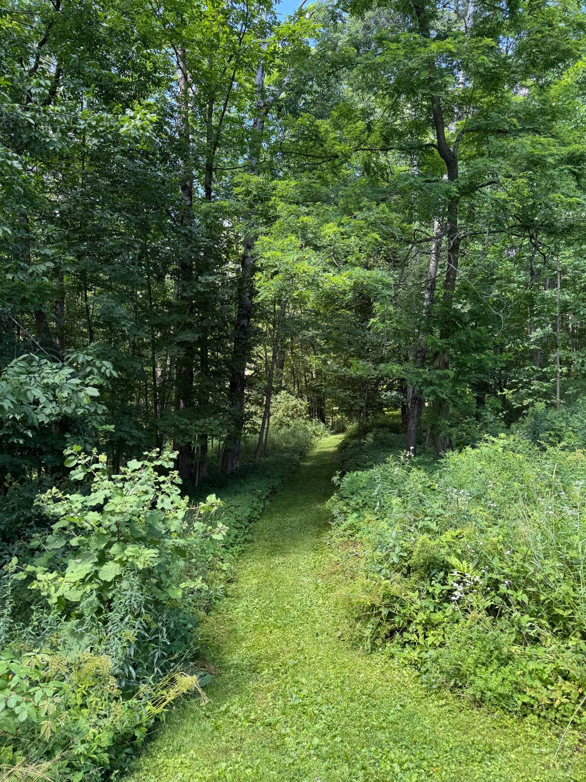 #55 photo, 950 County Highway 22, Burlington Flats , NY 13439