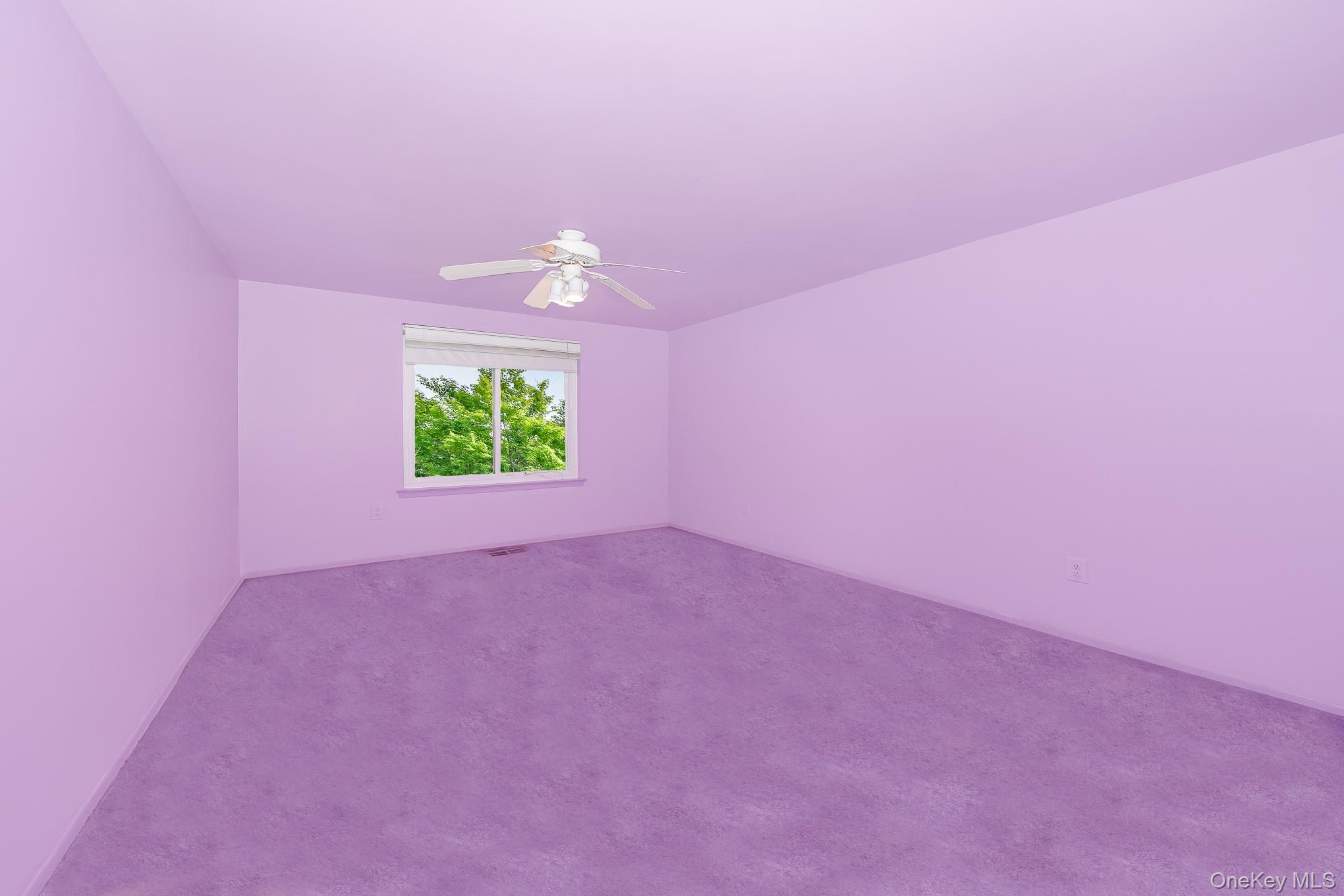 #18 photo, 784 Blue Ridge Drive, 東長島 Medford , NY 11763