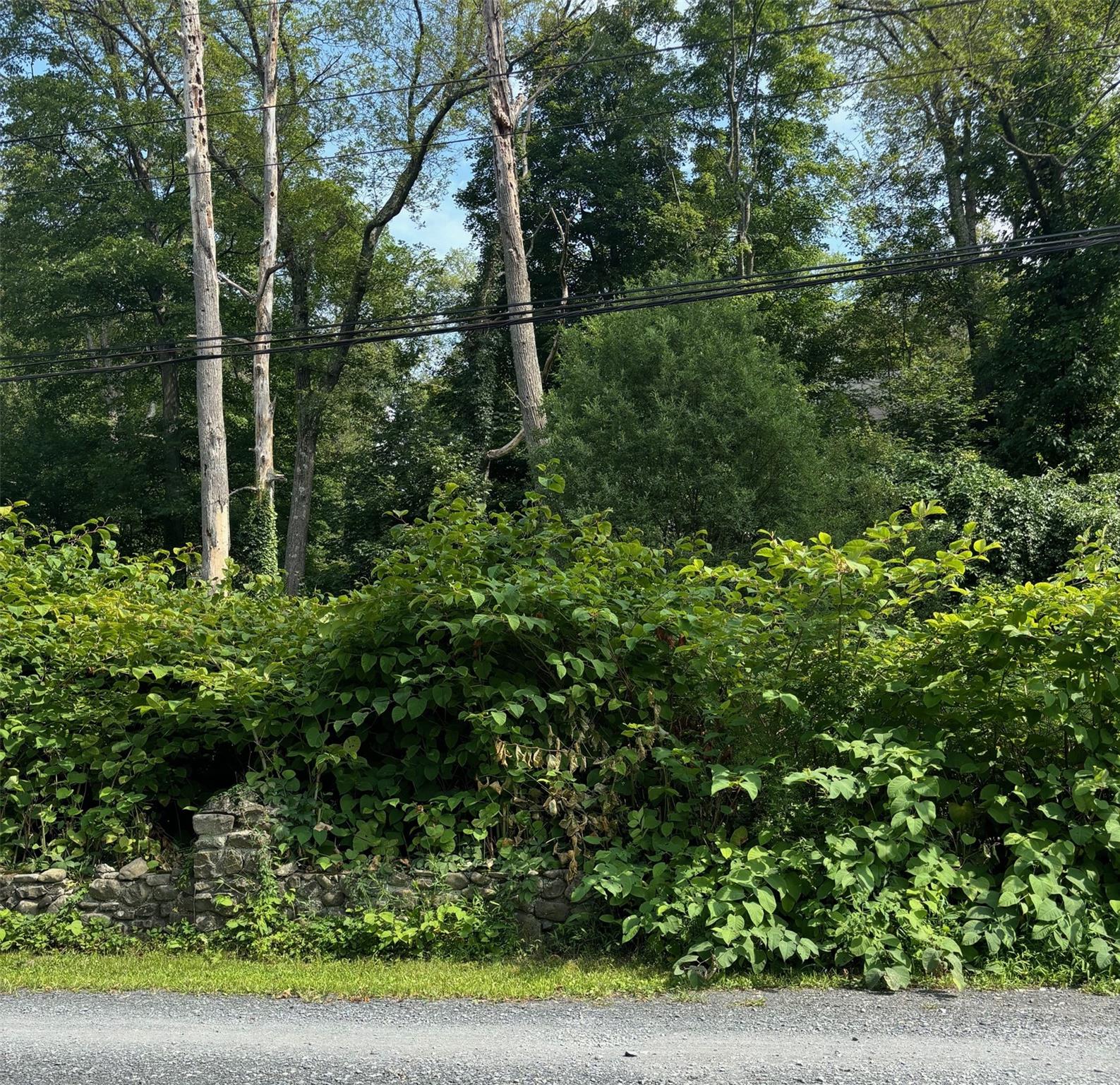 #1 photo, 17 Sylvan Trail, Monroe , NY 10950