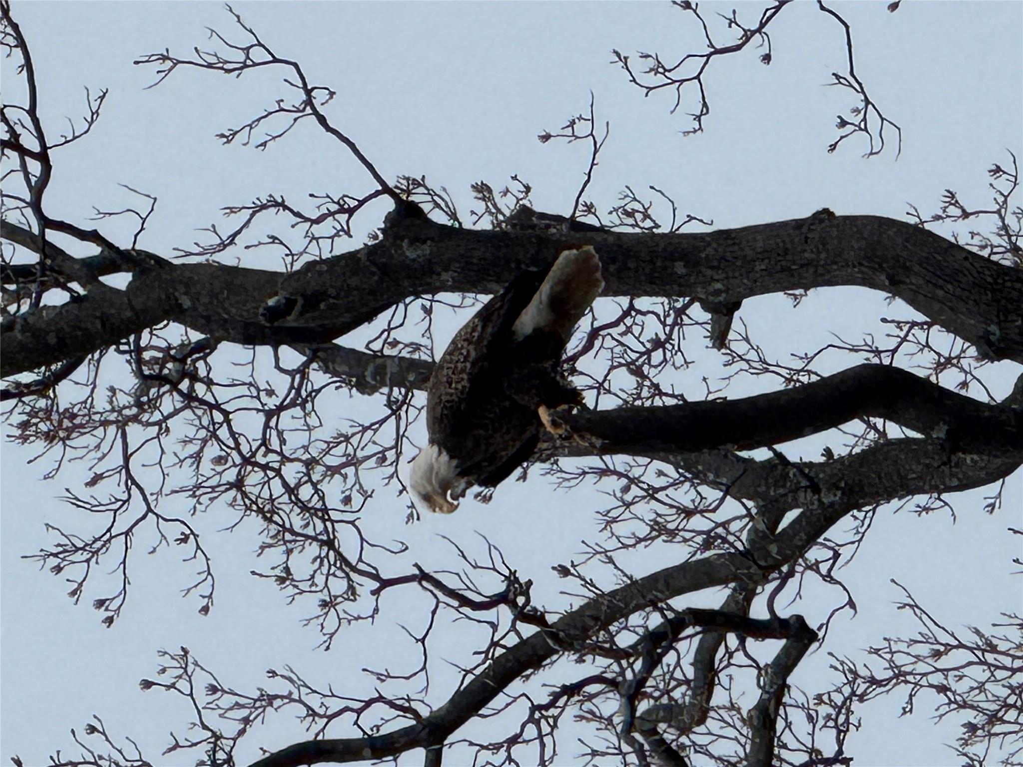 #5 photo, 519 N Midland, Nyack , NY 