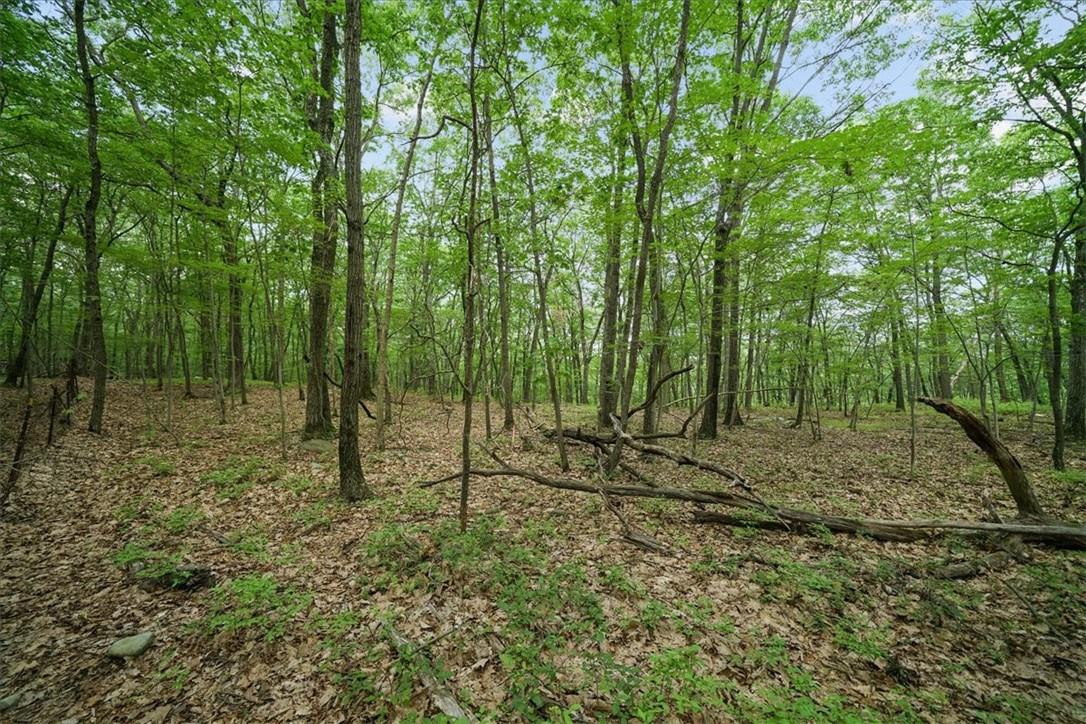 #5 photo, Stag Hill Road, Monroe , NY 10950