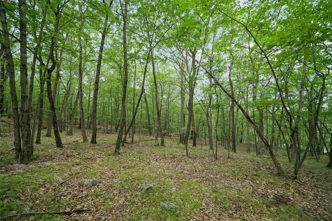 #6 photo, Stag Hill Road, Monroe , NY 10950