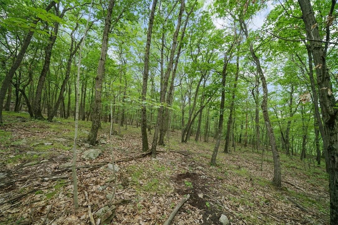 #8 photo, Stag Hill Road, Monroe , NY 10950