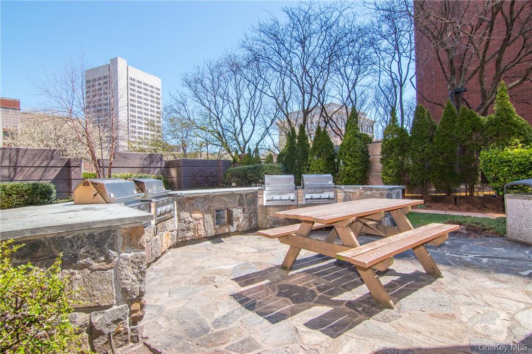 #11 photo, 4 Martine Avenue, White Plains , NY 10606