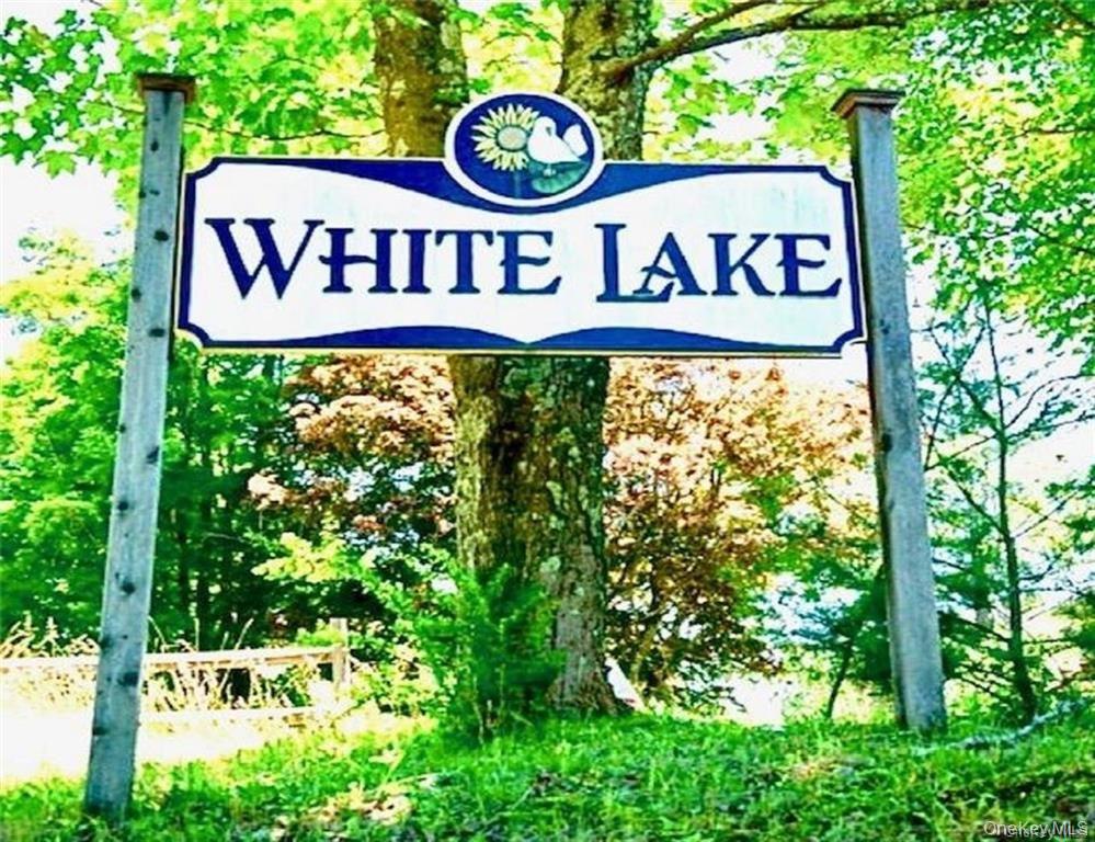 #10 photo, 10 Donenfeld Drive, White Lake , NY 12786