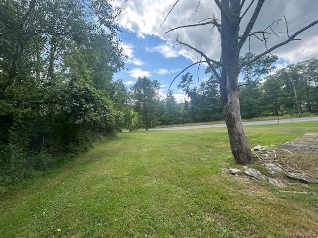 #20 photo, 6 Cragsmoor Road, Pine Bush , NY 12566