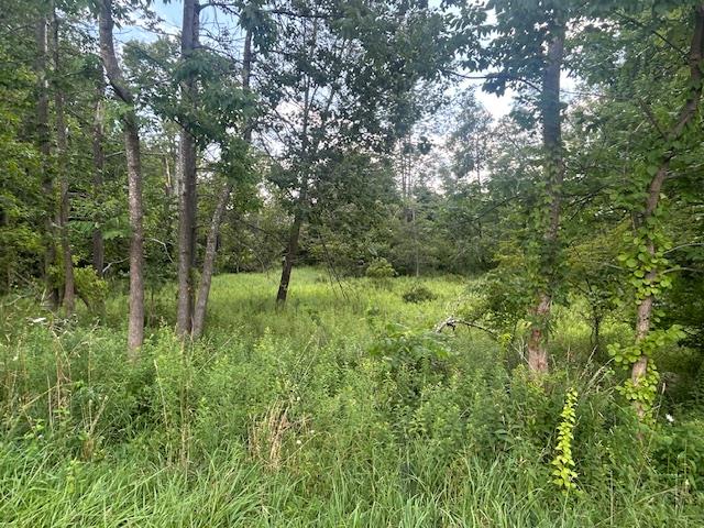 #1 photo, Cragsmoor Road, Pine Bush , NY 12566
