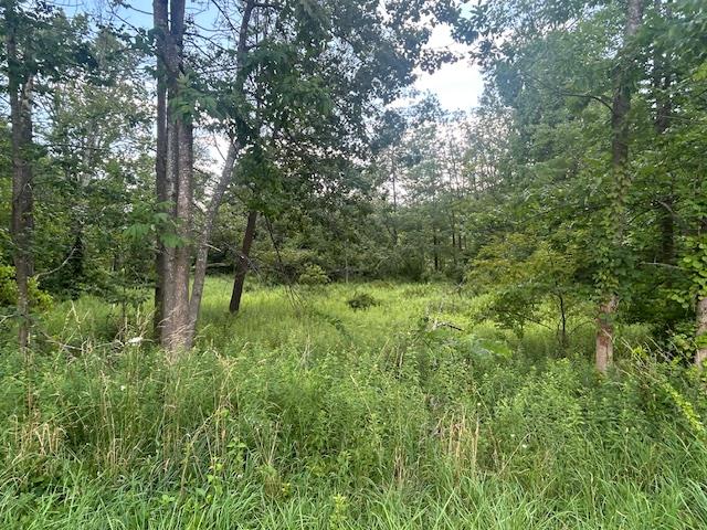 #2 photo, Cragsmoor Road, Pine Bush , NY 12566