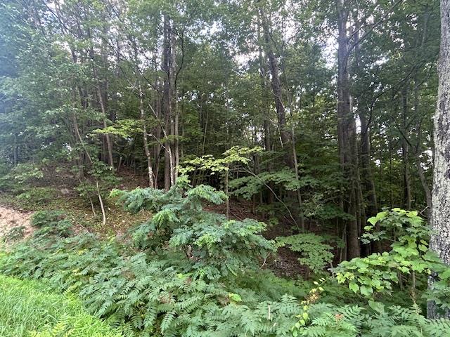 #4 photo, Cragsmoor Road, Pine Bush , NY 12566