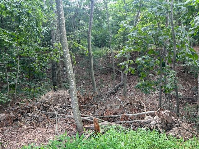 #7 photo, Cragsmoor Road, Pine Bush , NY 12566