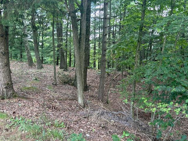 #8 photo, Cragsmoor Road, Pine Bush , NY 12566