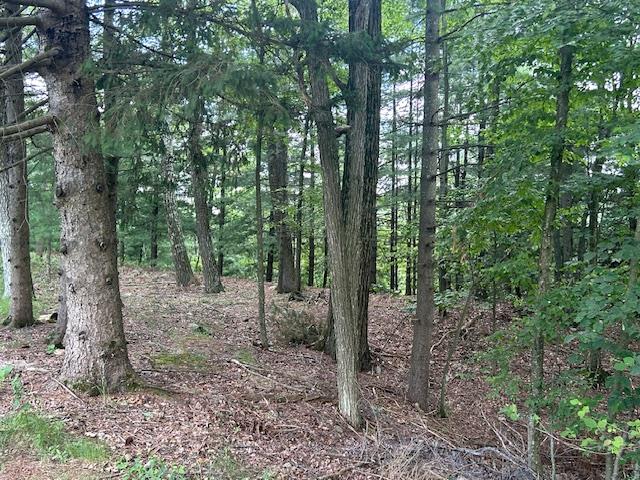 #9 photo, Cragsmoor Road, Pine Bush , NY 12566