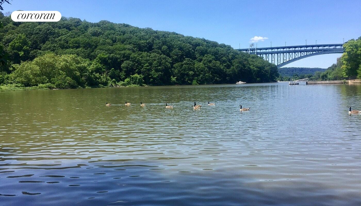 #11 photo, 581 ACADEMY Street, マンハッタン Inwood , NY 10034