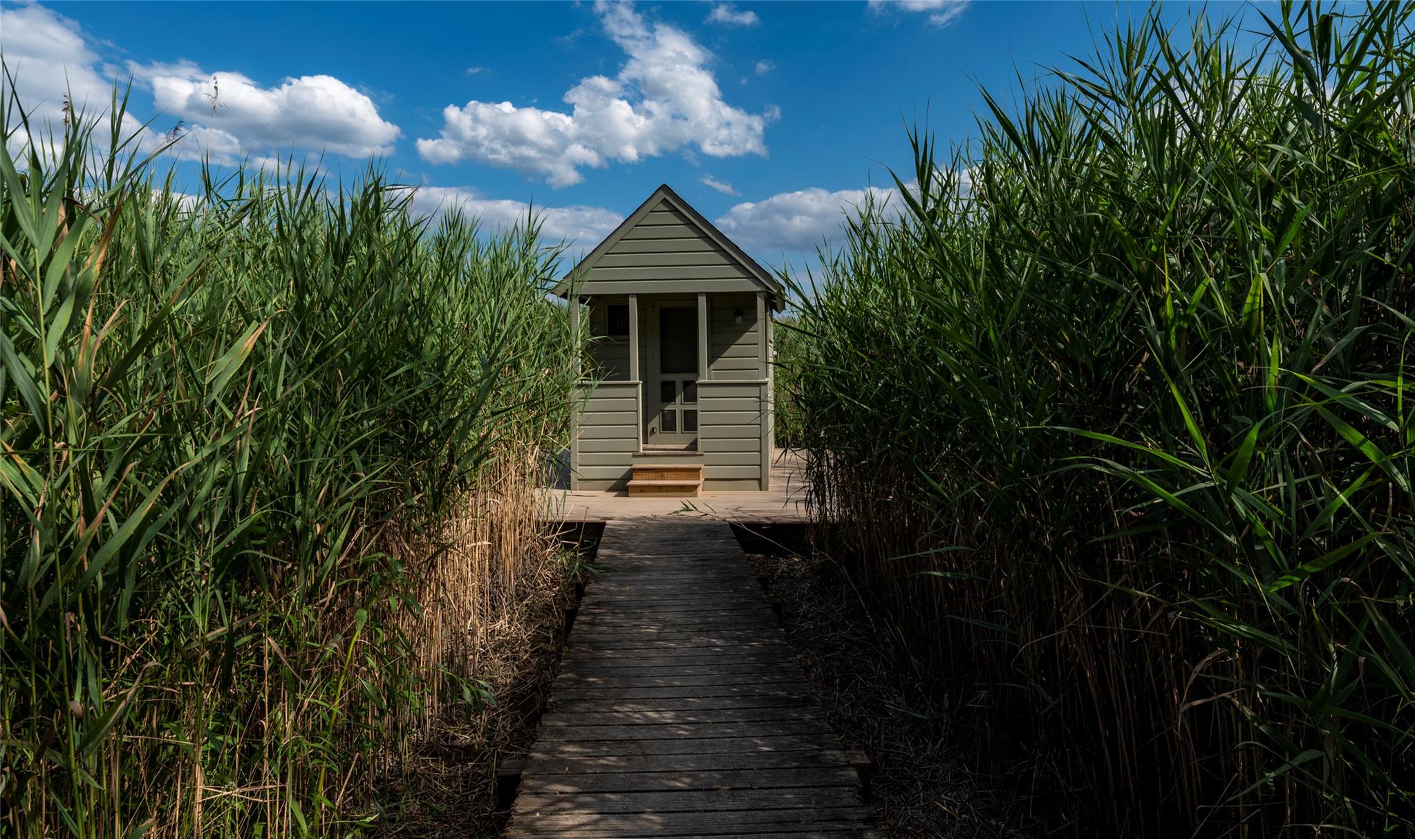 #8 photo, 99 Paradise Avenue, Piermont , NY 10968