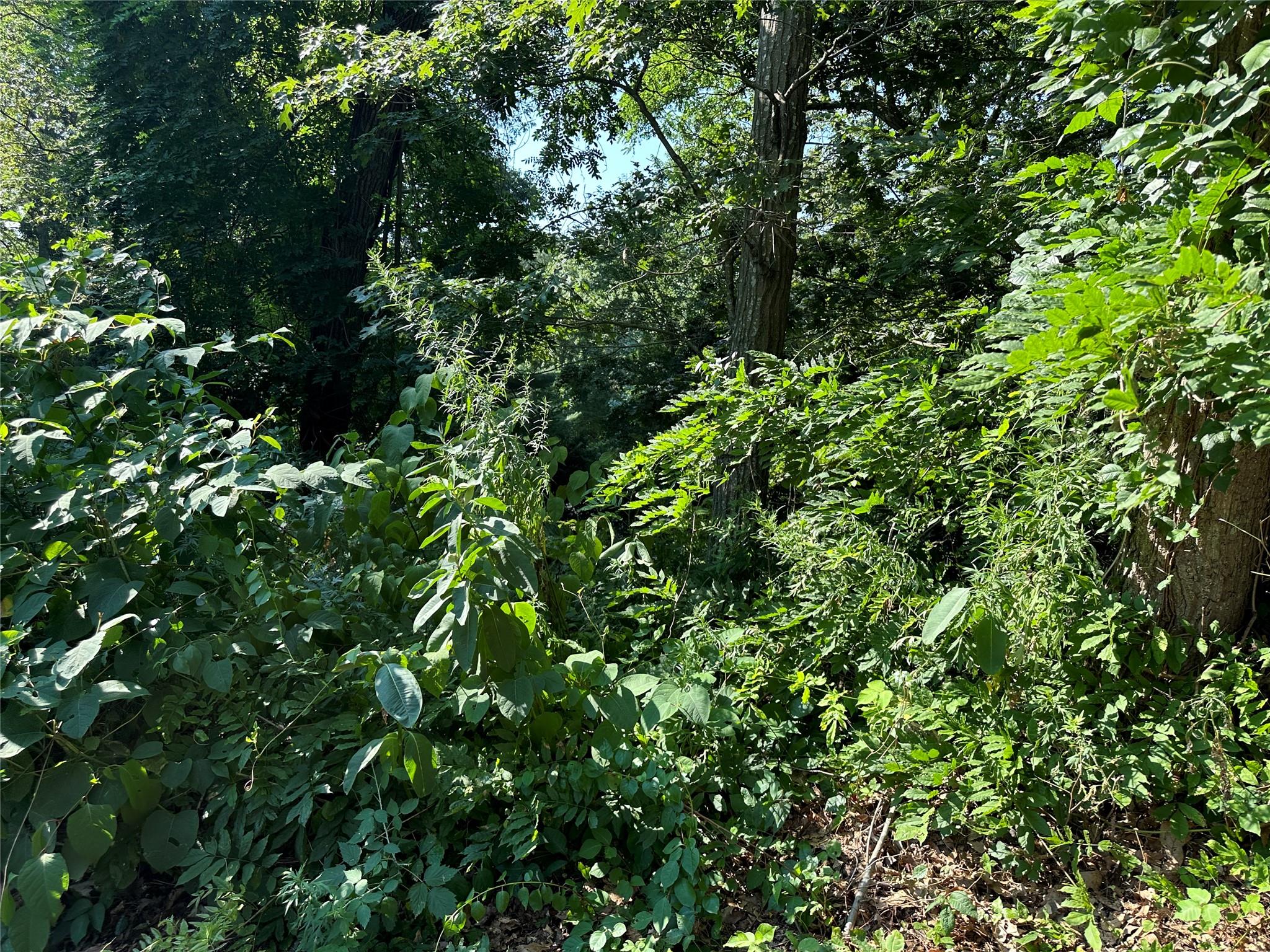 #1 photo, 40 Park Drive, サフォーク郡 Rocky Point , NY 11778