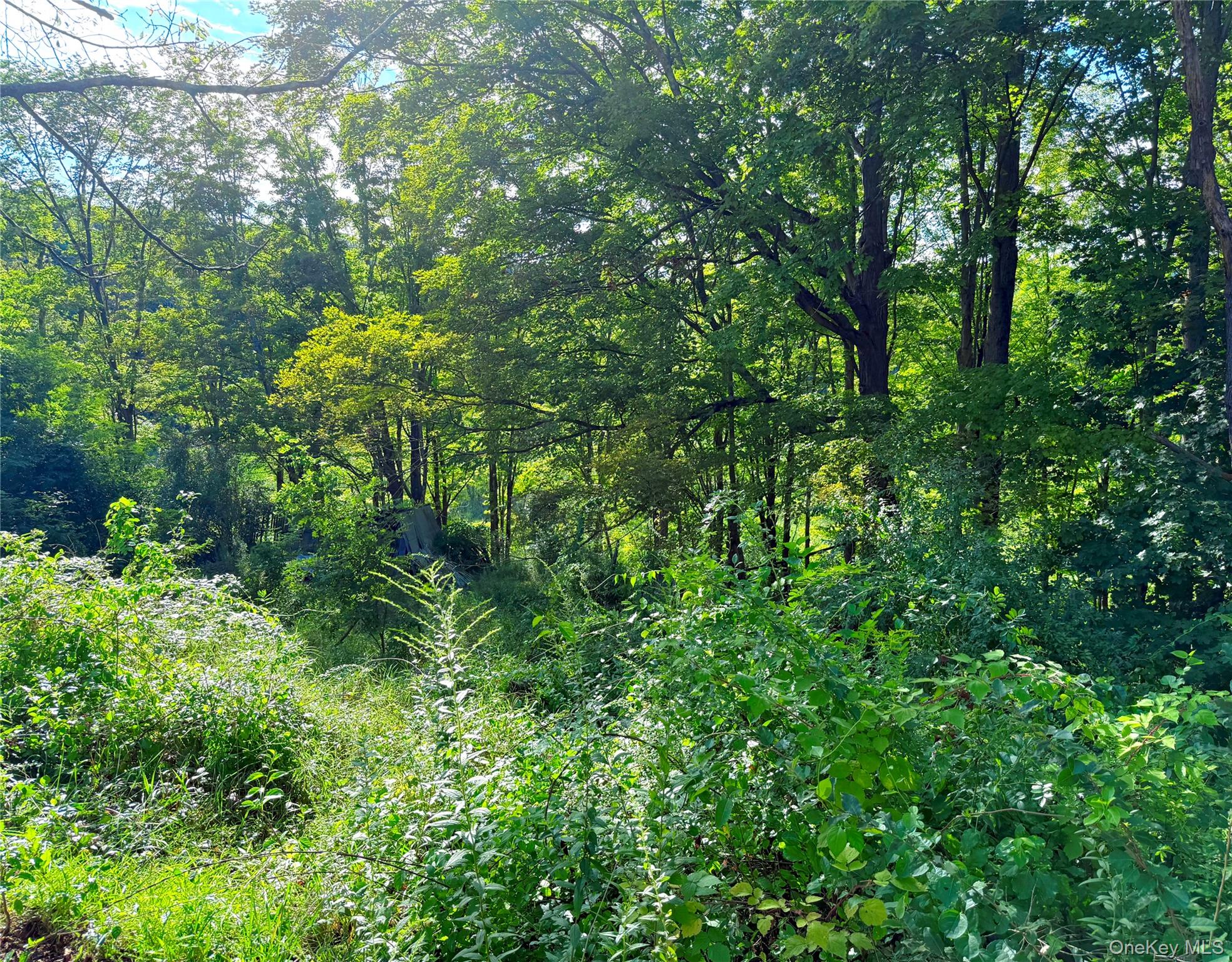 #9 photo, Walnut Street, Pawling , NY 12564