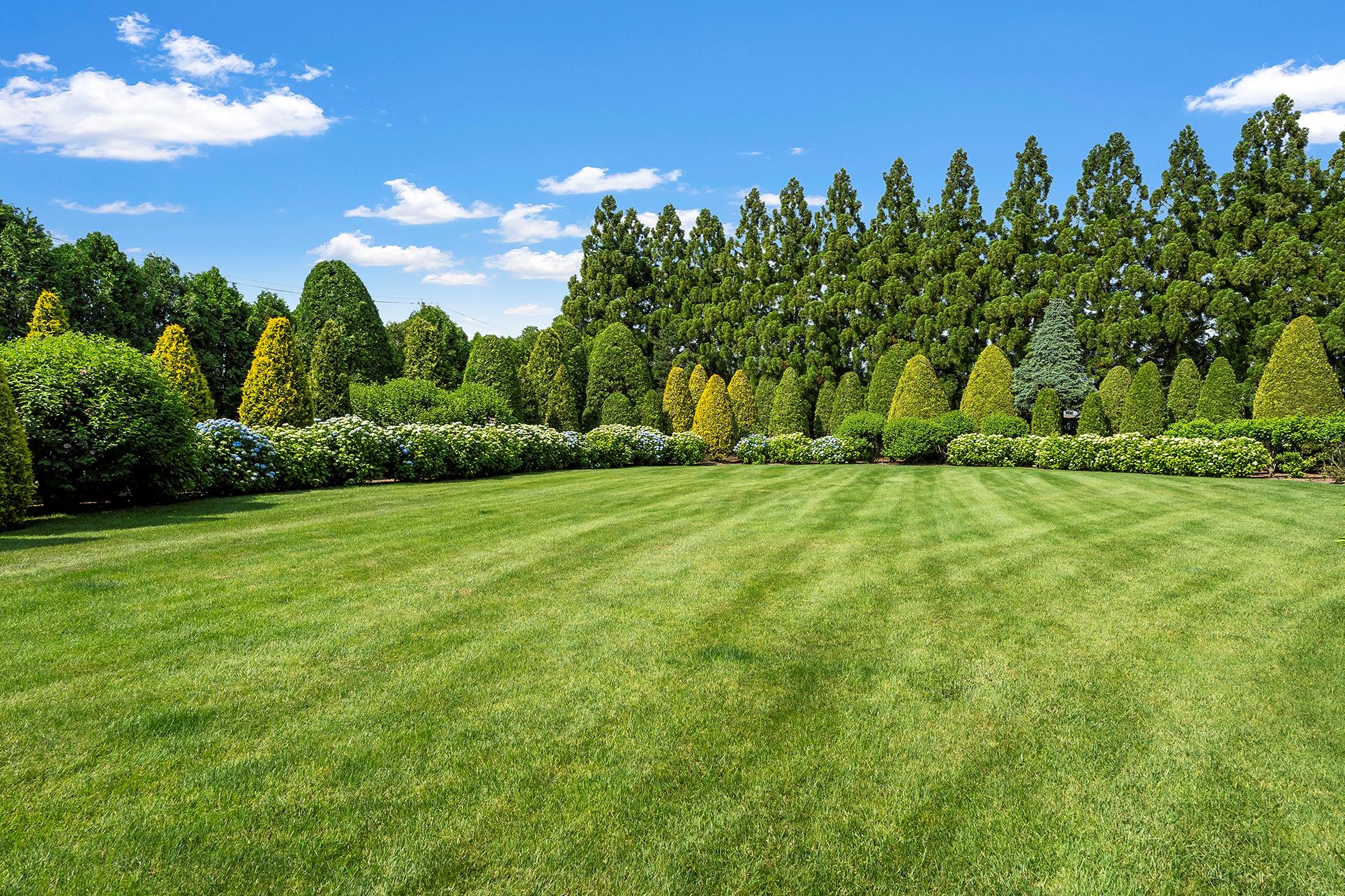 #6 photo, 14 Fordune Drive, サフォーク郡 Southampton , NY 11968