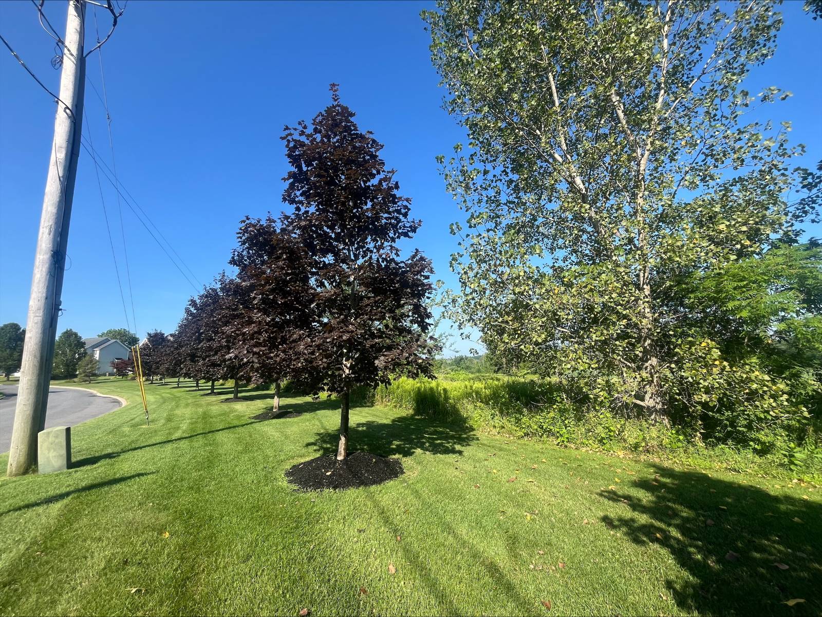 #2 photo, 10  Damascus Way, Ballston Spa , NY 12020