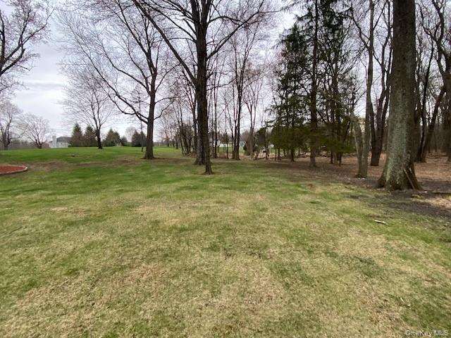 #12 photo, 176 Gardnerville Road, New Hampton , NY 10958