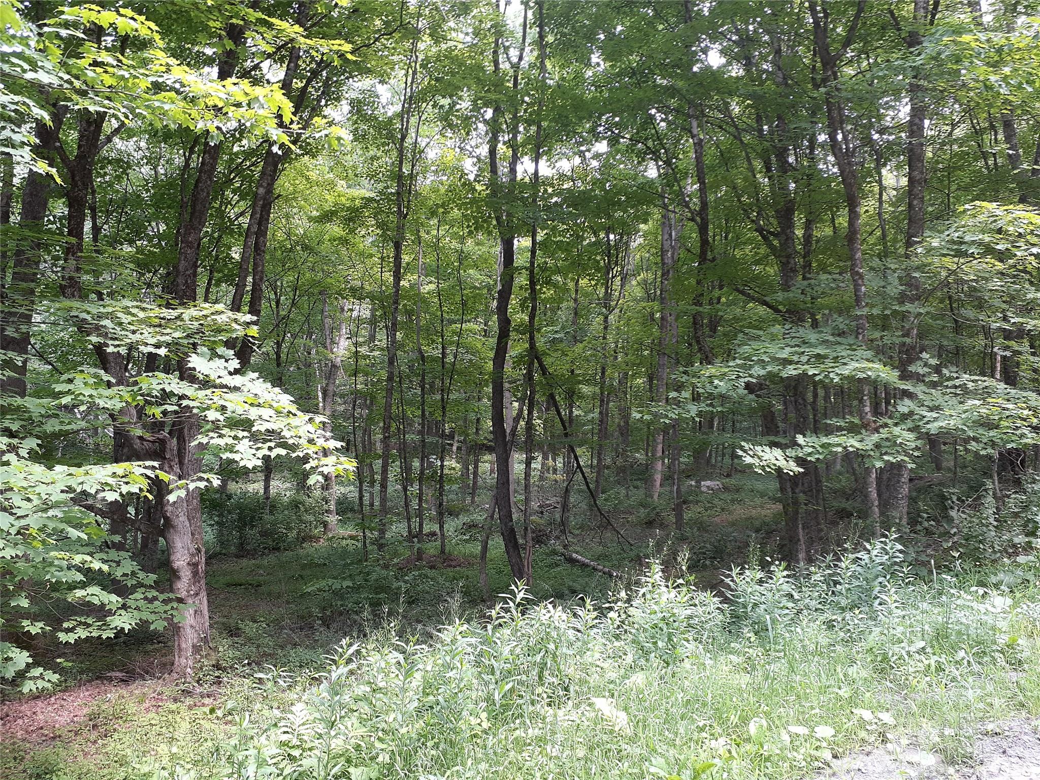 #1 photo, 1407 Eminence Road, East Branch , NY 13756