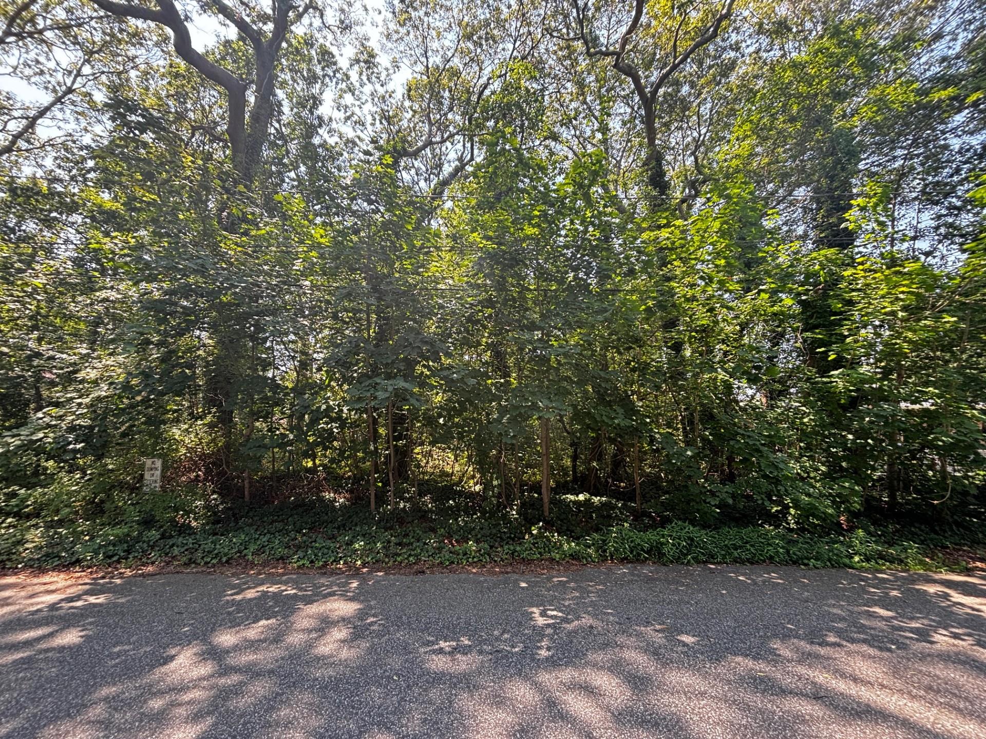 #1 photo, Holly Lane, Shirley , NY 11967