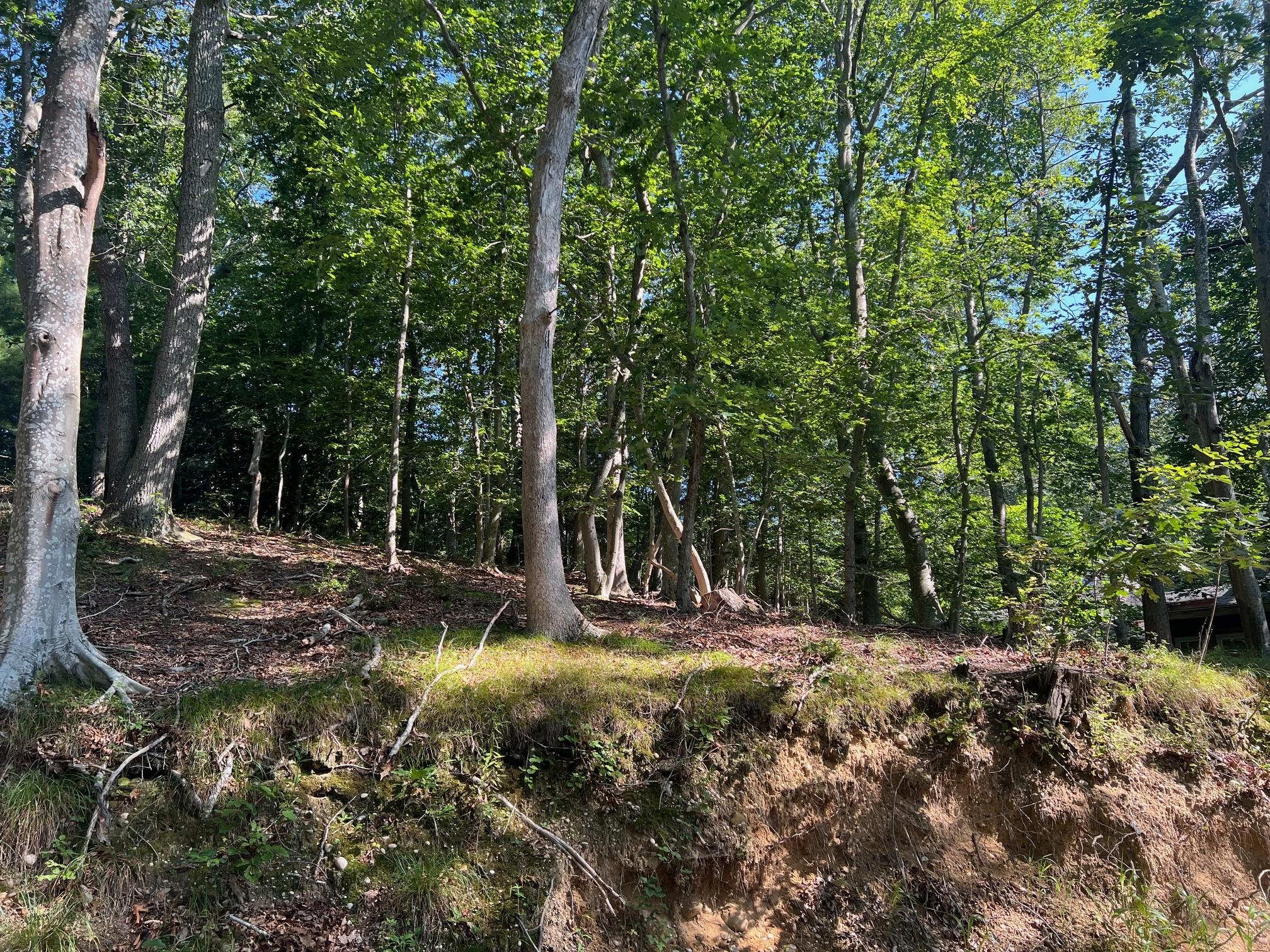 #1 photo, Fern Road, 东长岛 Calverton , NY 11933