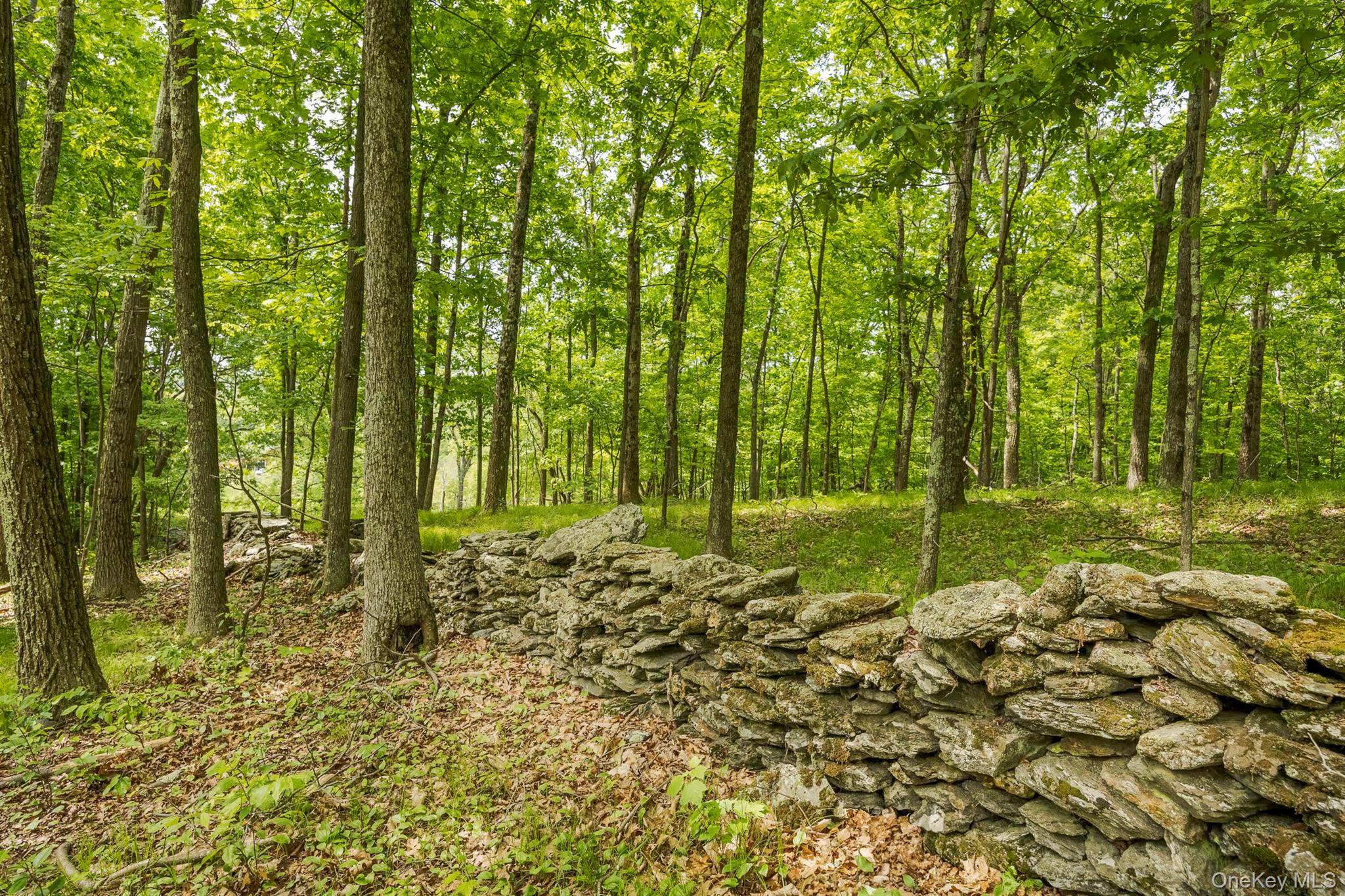 #10 photo, A Skunks Misery Road, Millerton , NY 12546