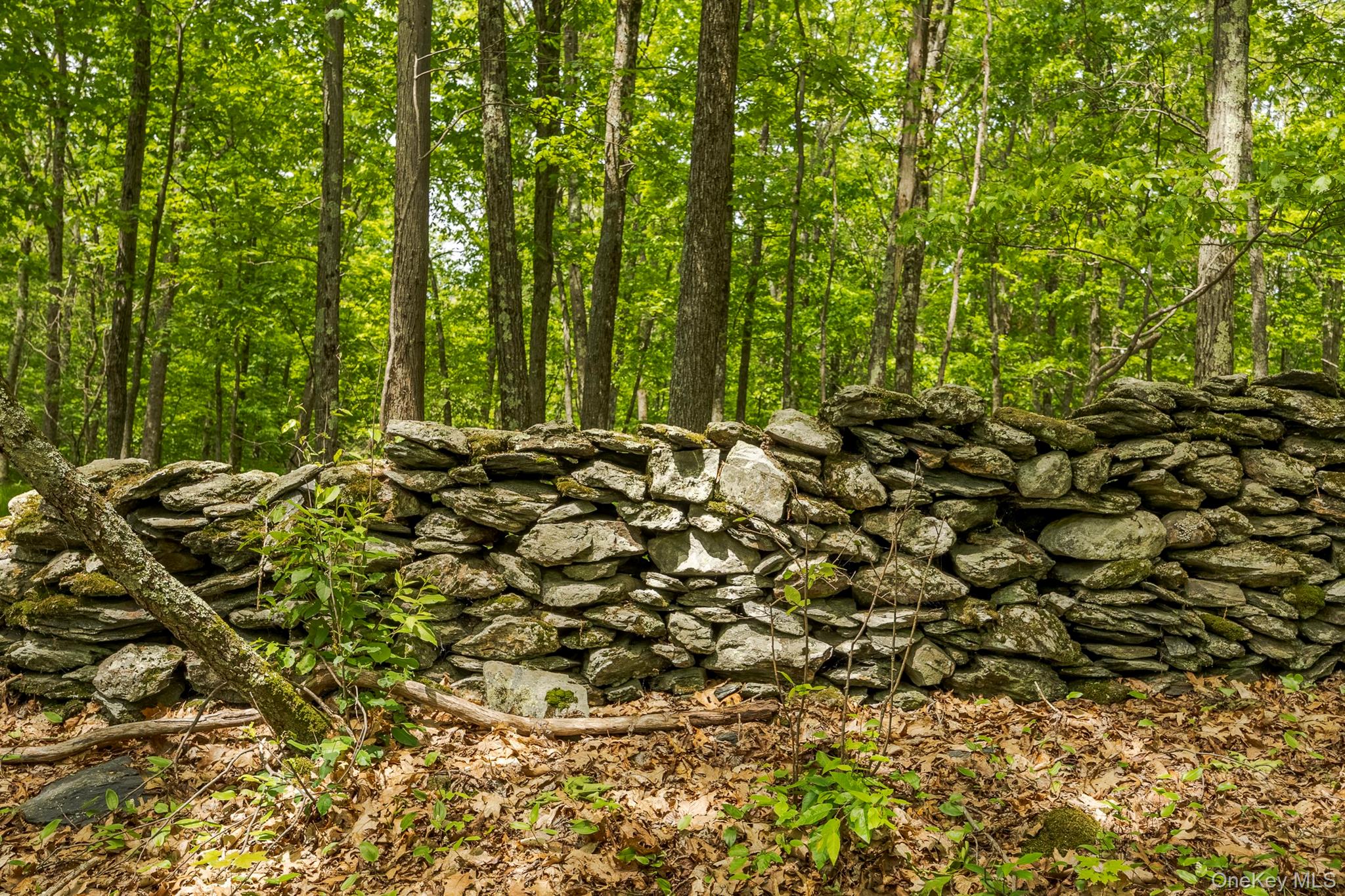 #11 photo, A Skunks Misery Road, Millerton , NY 12546