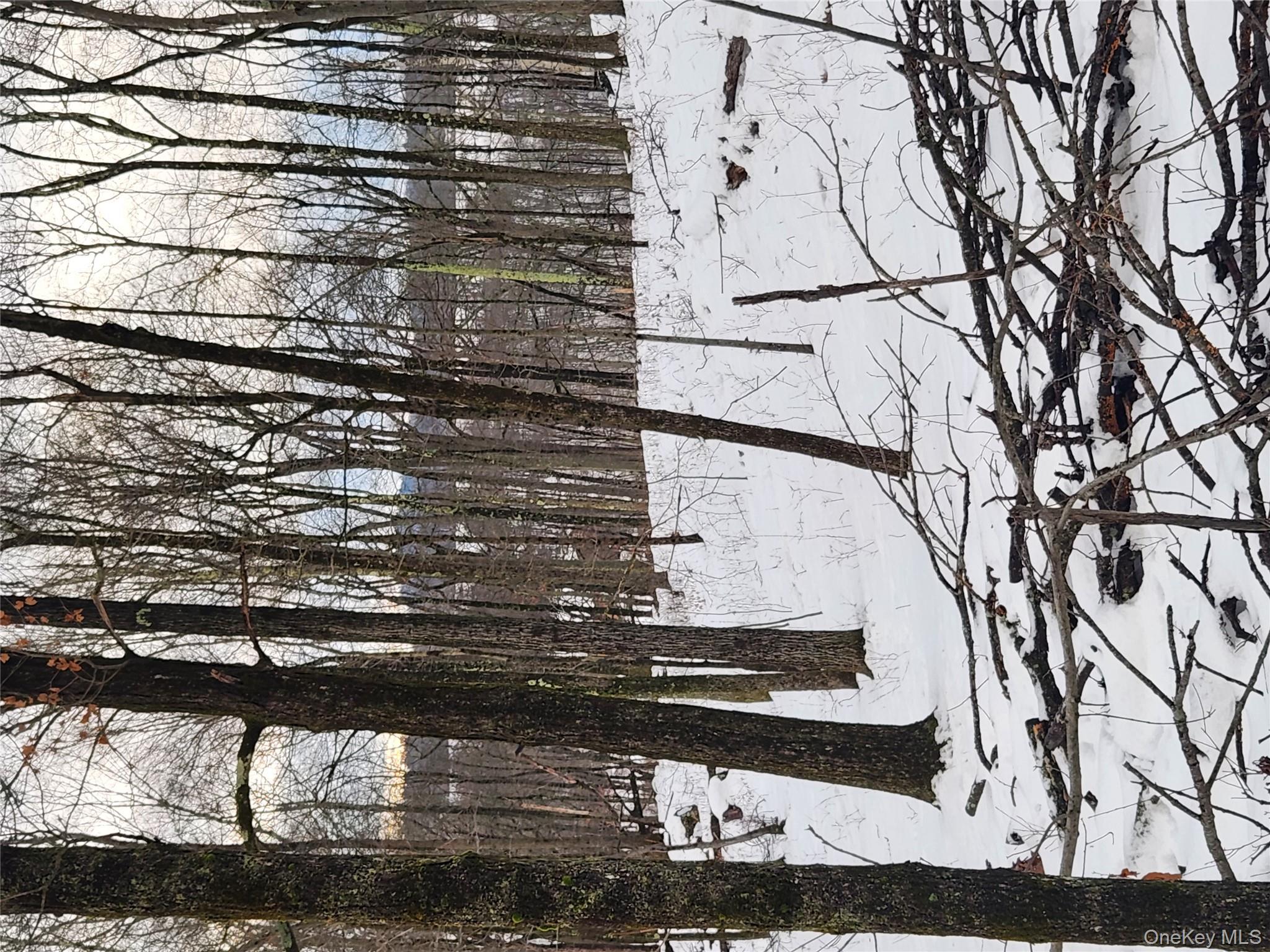 #15 photo, A Skunks Misery Road, Millerton , NY 12546