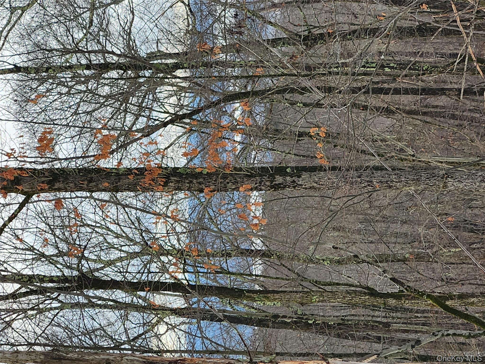 #16 photo, A Skunks Misery Road, Millerton , NY 12546