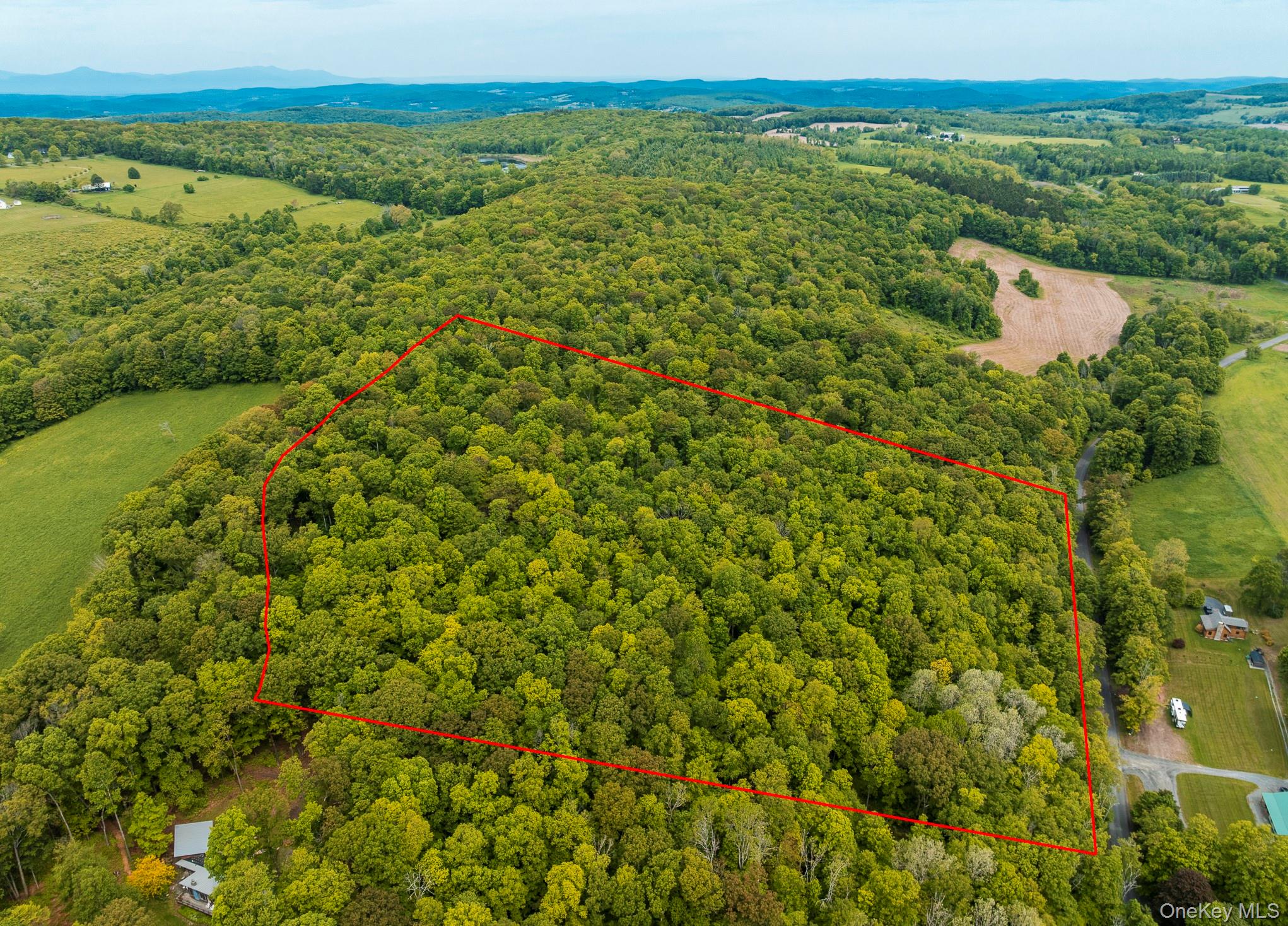 #2 photo, A Skunks Misery Road, Millerton , NY 12546