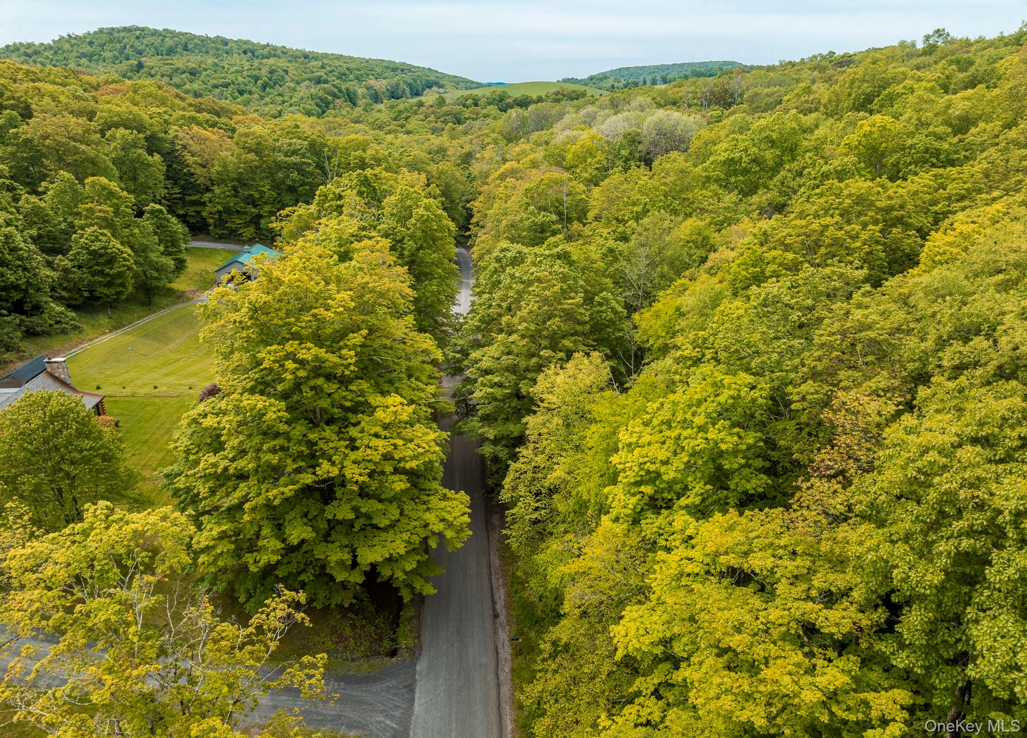 #4 photo, A Skunks Misery Road, Millerton , NY 12546