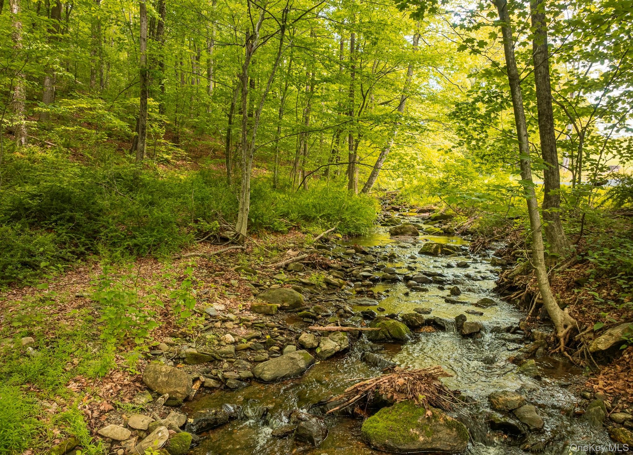 #5 photo, A Skunks Misery Road, Millerton , NY 12546