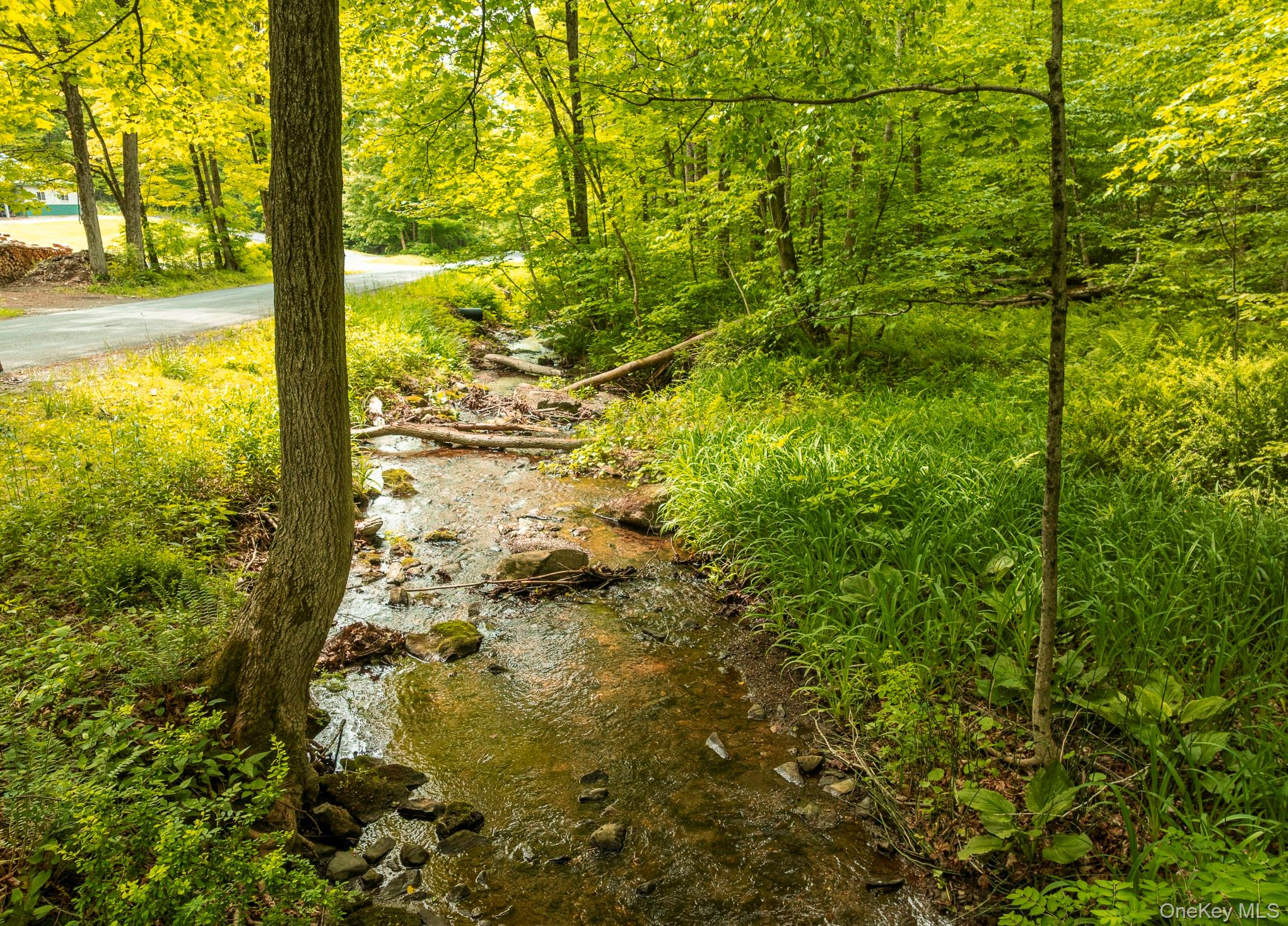 #6 photo, A Skunks Misery Road, Millerton , NY 12546