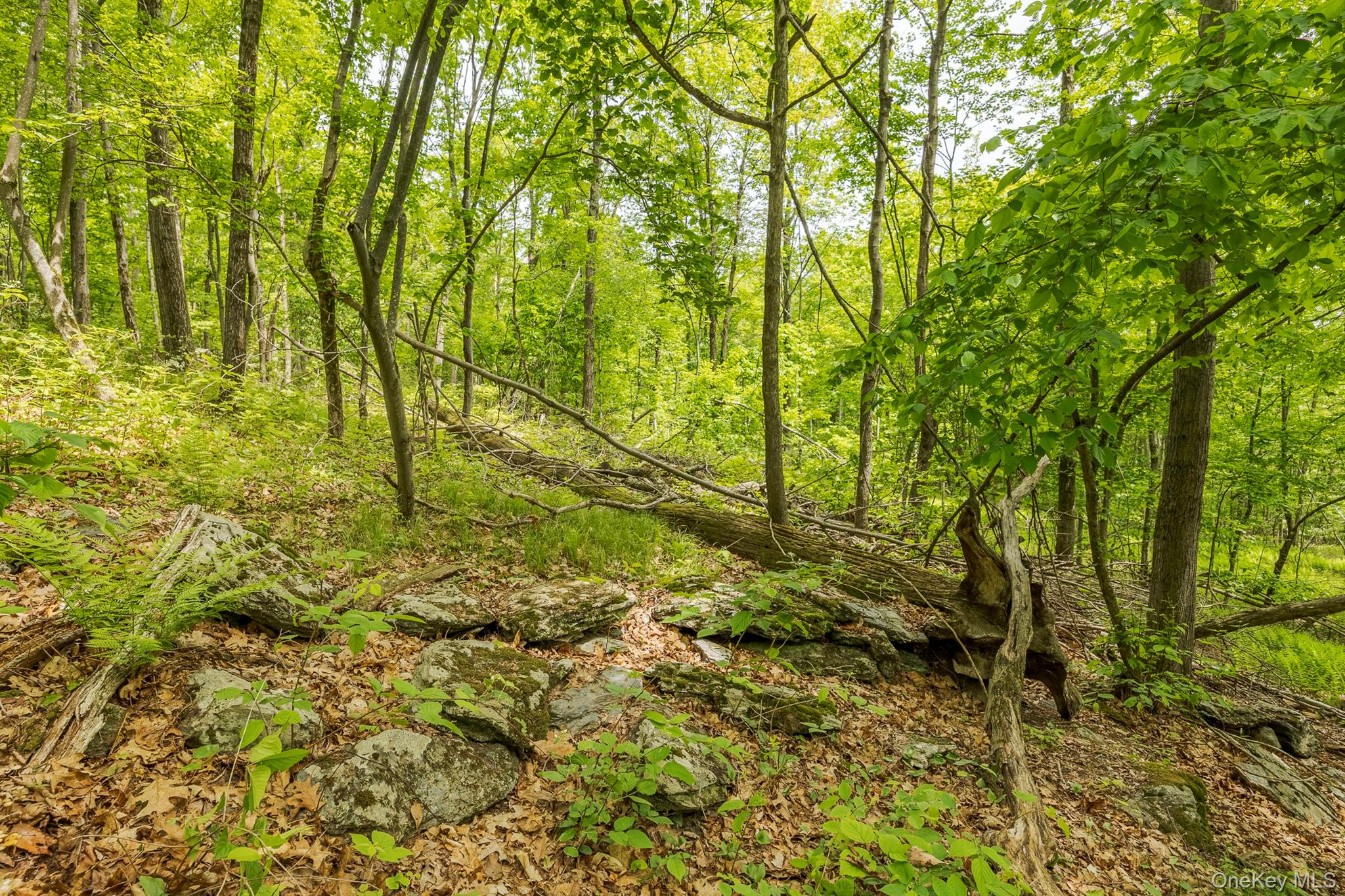 #9 photo, A Skunks Misery Road, Millerton , NY 12546