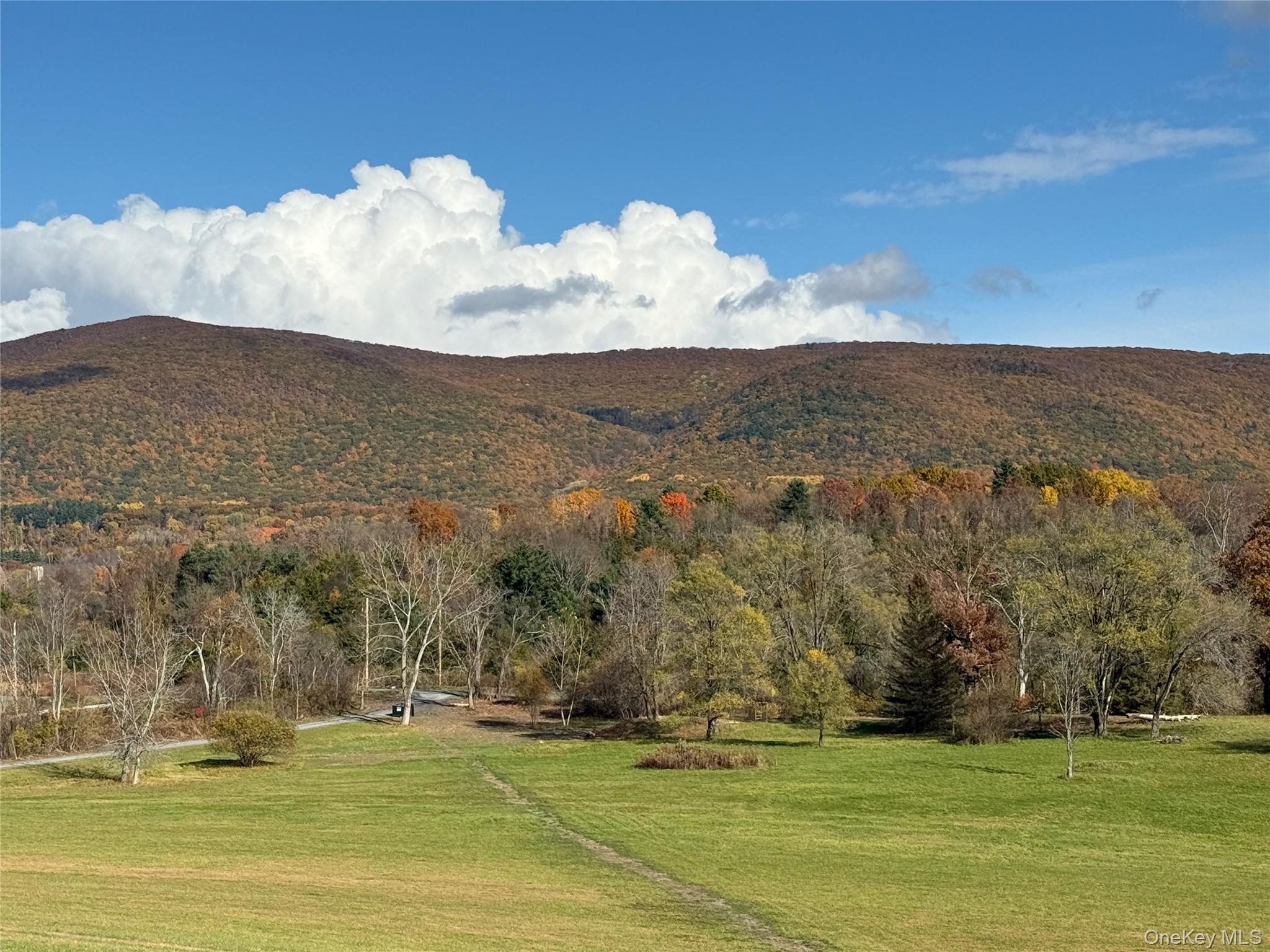 #15 photo, 1131 E Ancram Road, ANCRAMDALE , NY 12503