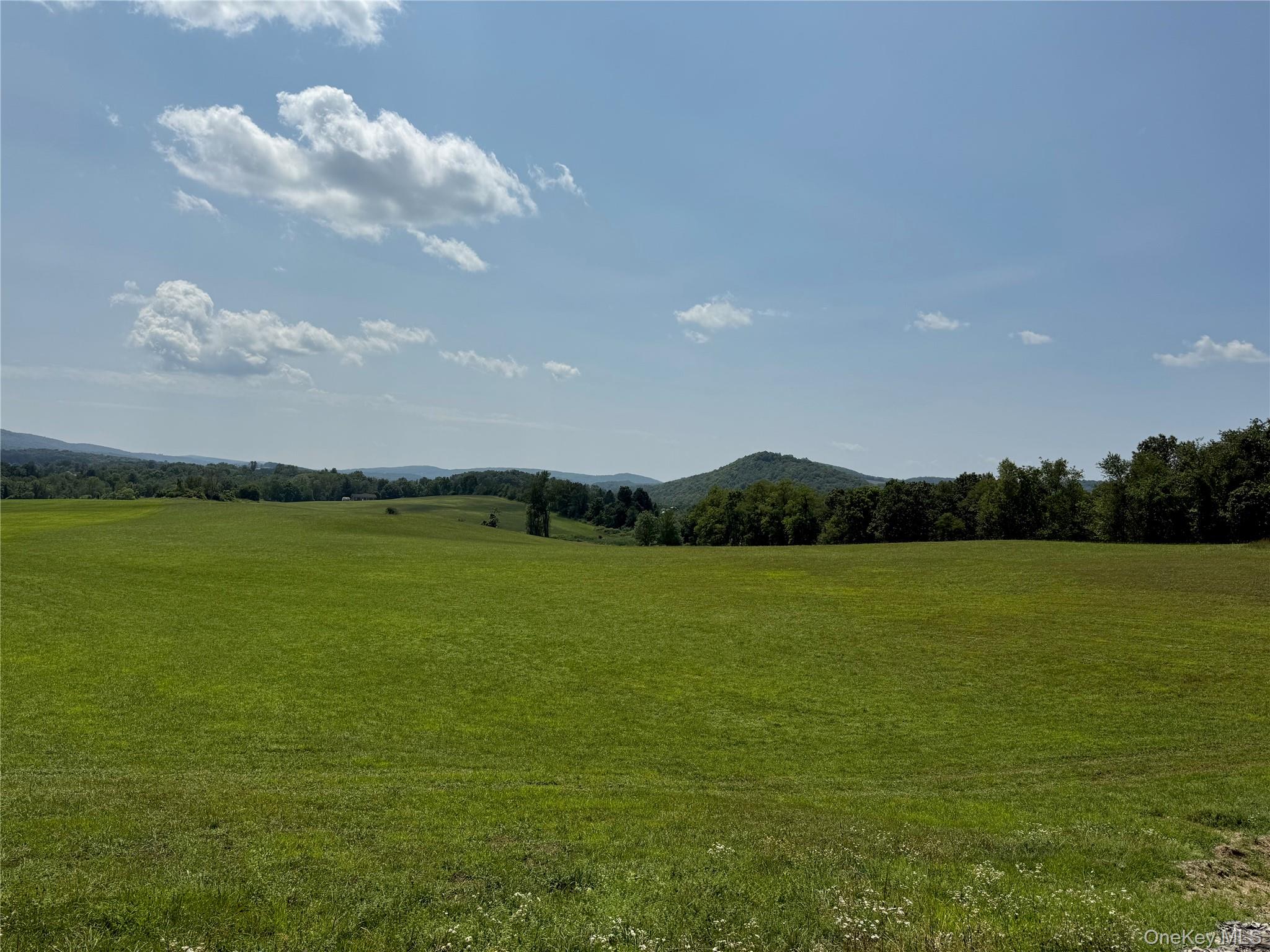 #3 photo, 1131 E Ancram Road, ANCRAMDALE , NY 12503