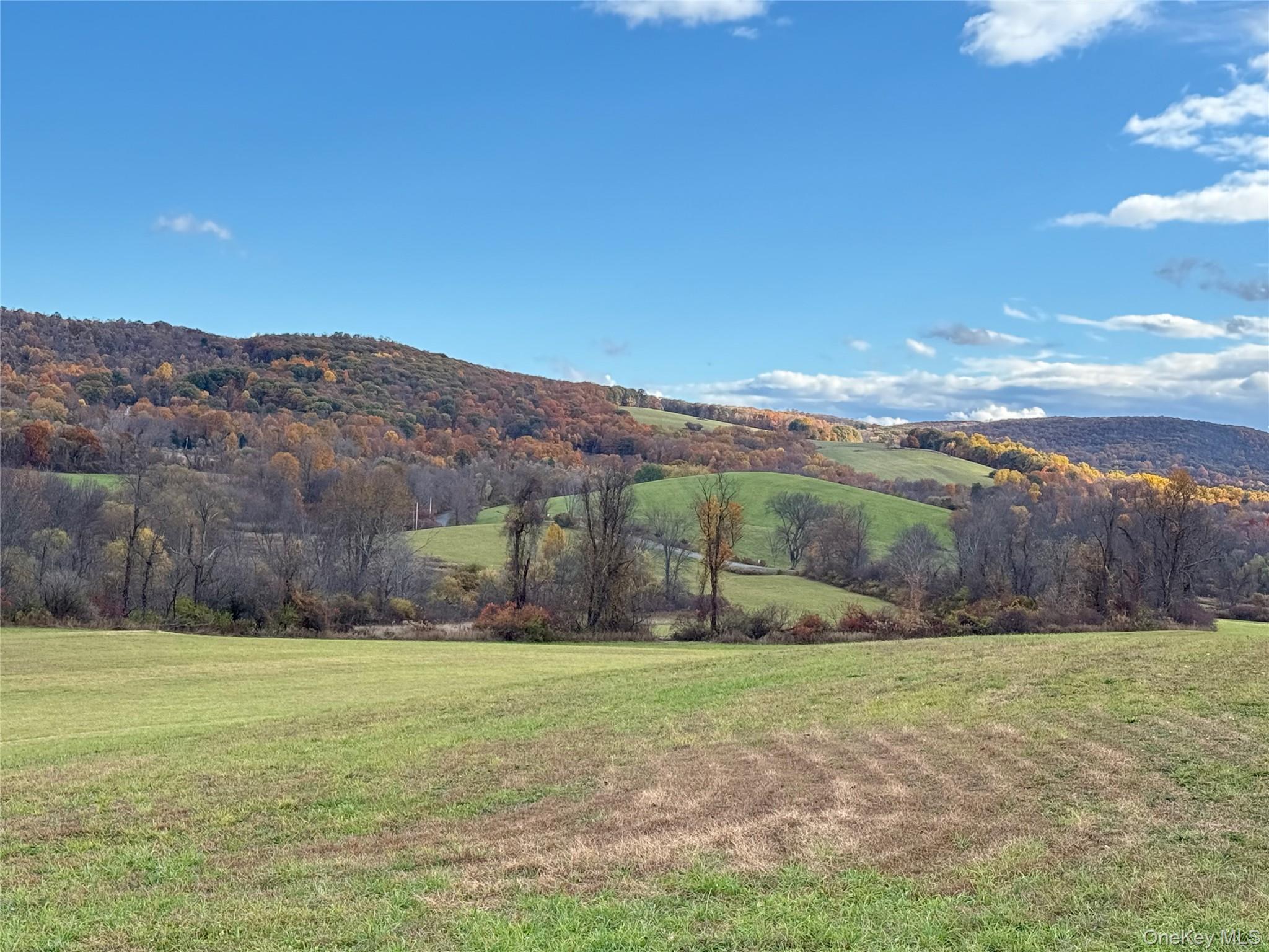 #6 photo, 1131 E Ancram Road, ANCRAMDALE , NY 12503