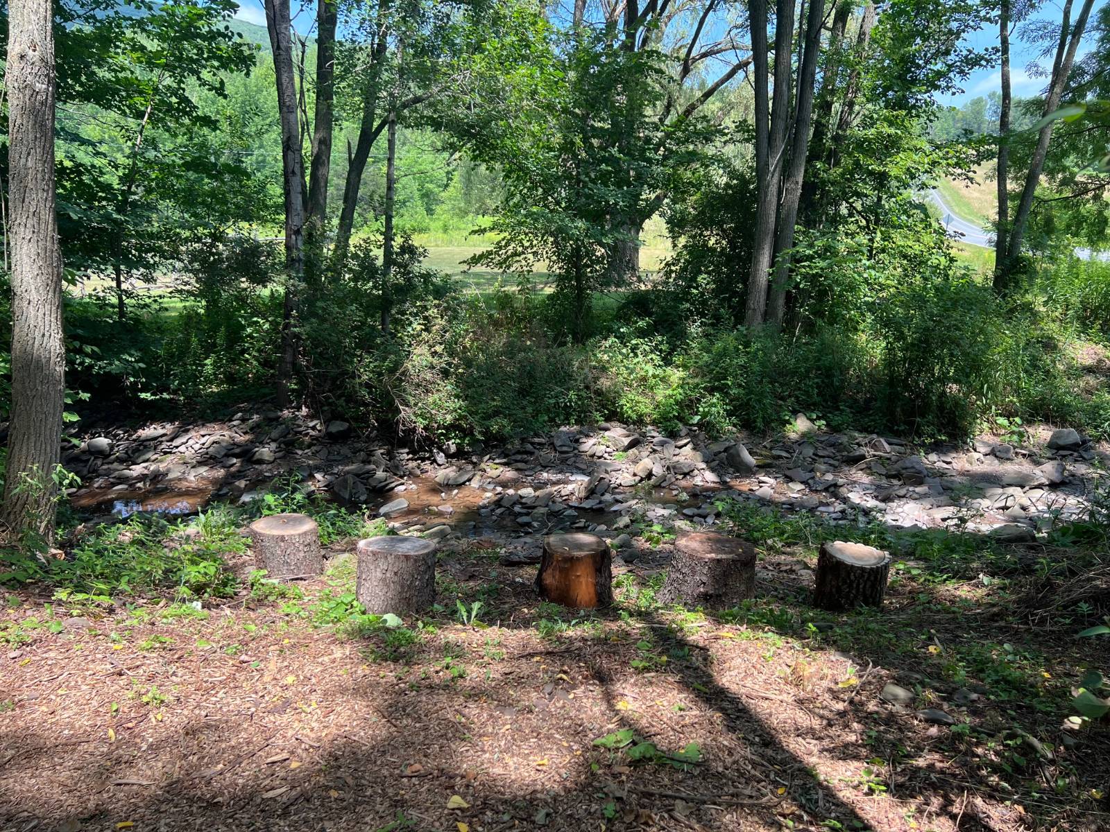 #27 photo, 8 Don Irwin Rd, Prattsville , NY 12468