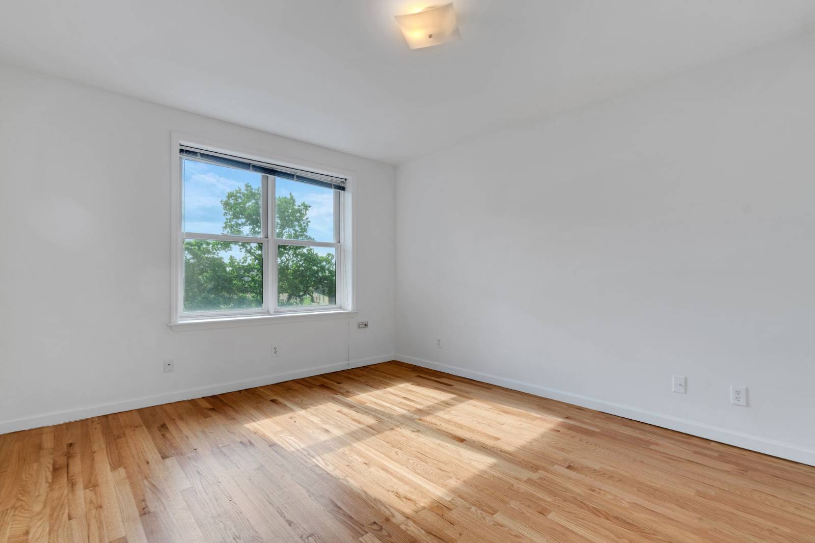 #4 photo, 3251 Riverdale Ave, ブロンクス区 Kingsbridge , NY 10463