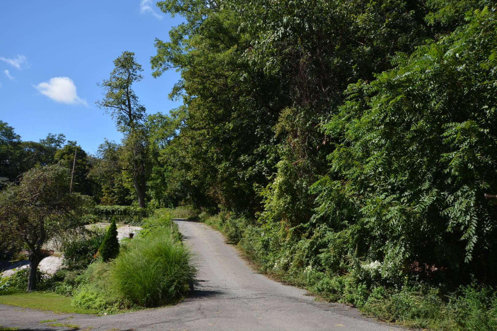 #4 photo, 3 Pine Terrace Road, #206, Highland Falls , NY 10928